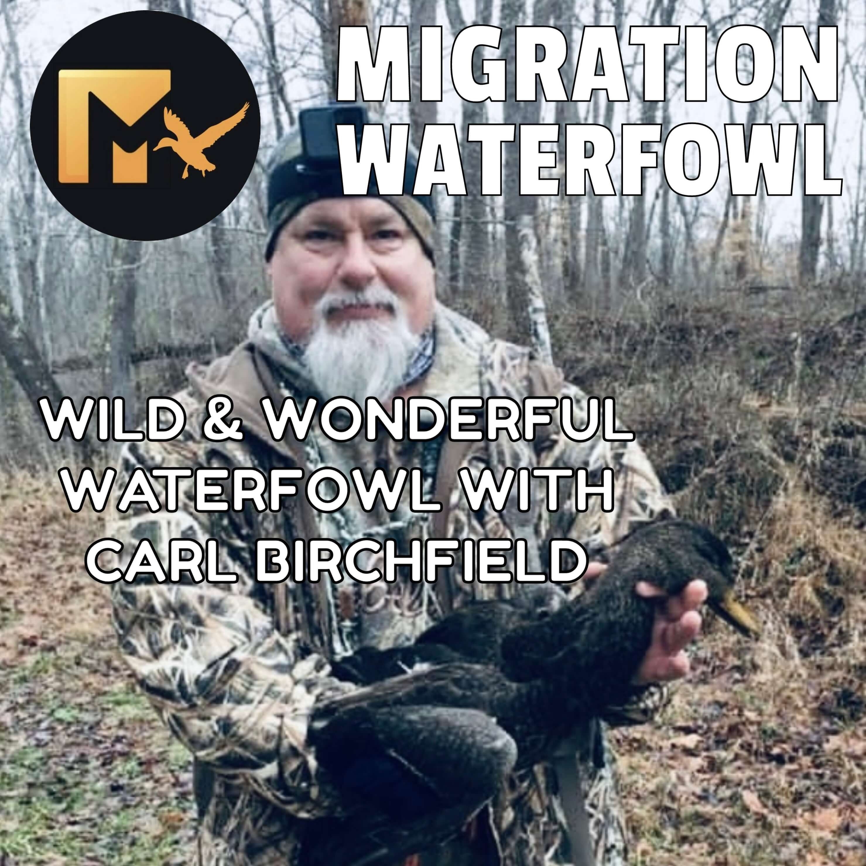 The Migration Waterfowl Podcast