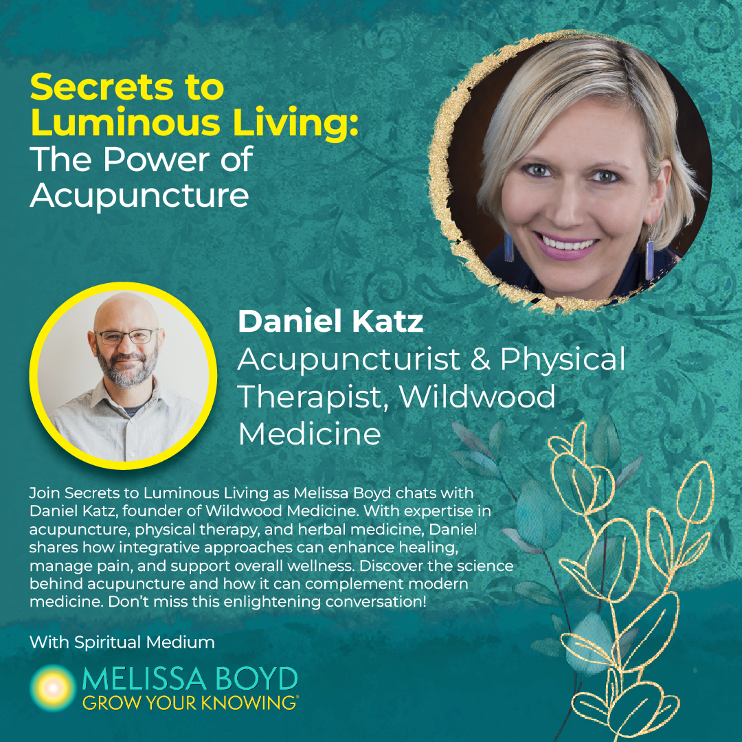 The Power of Acupuncture with Daniel Katz episode artwork