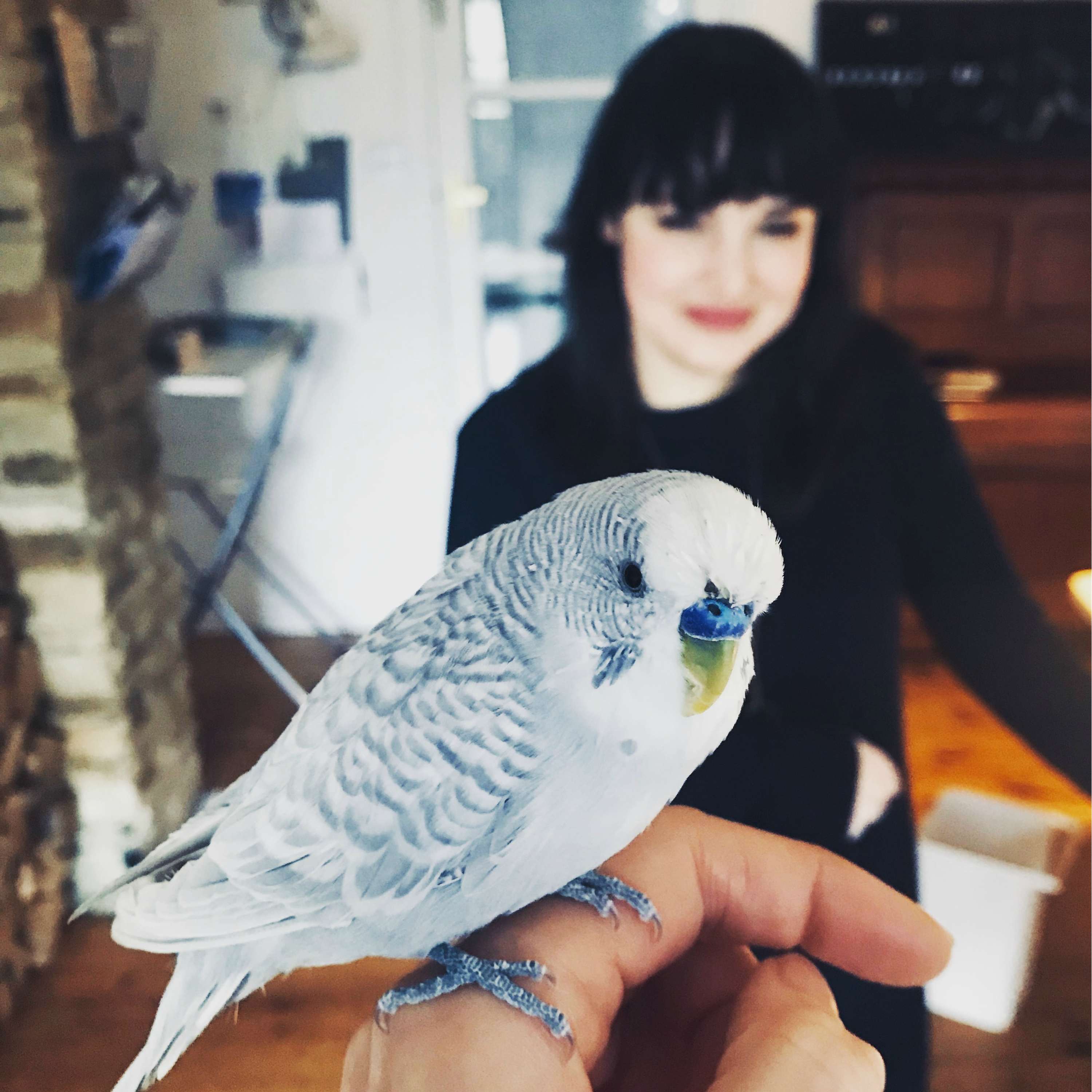 SIM Ep 199 Chops 85: social media is NOT ruining your life with Sara Tasker