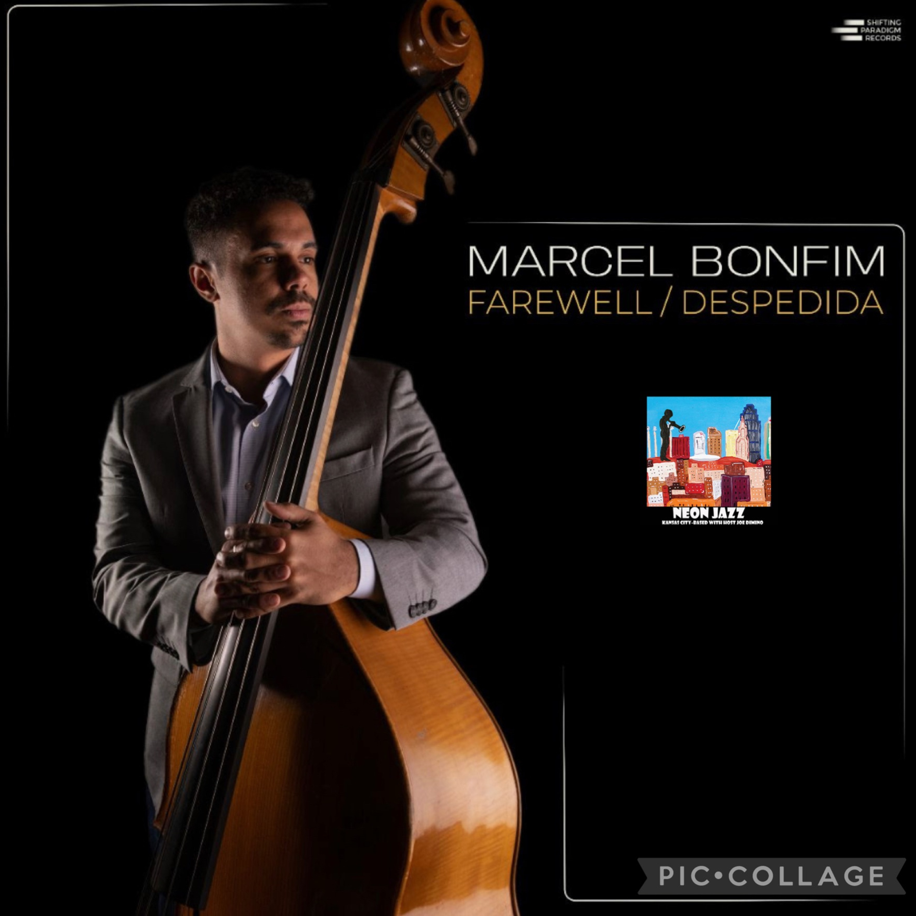 Brazilian-born, Chicago-based Jazz Bassist, Composer & Arranger Marcel Bonfim