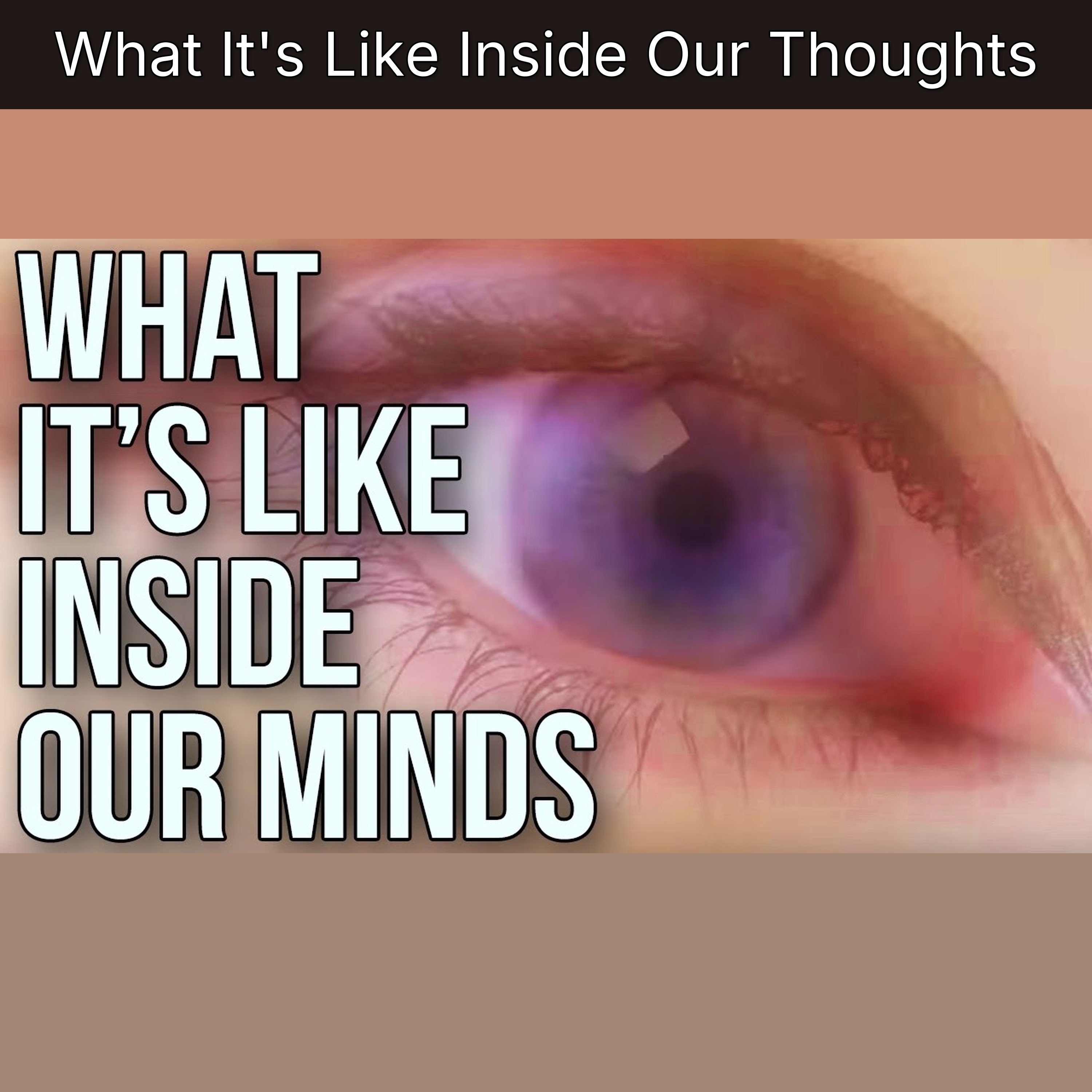 What It's Like Inside Our Thoughts