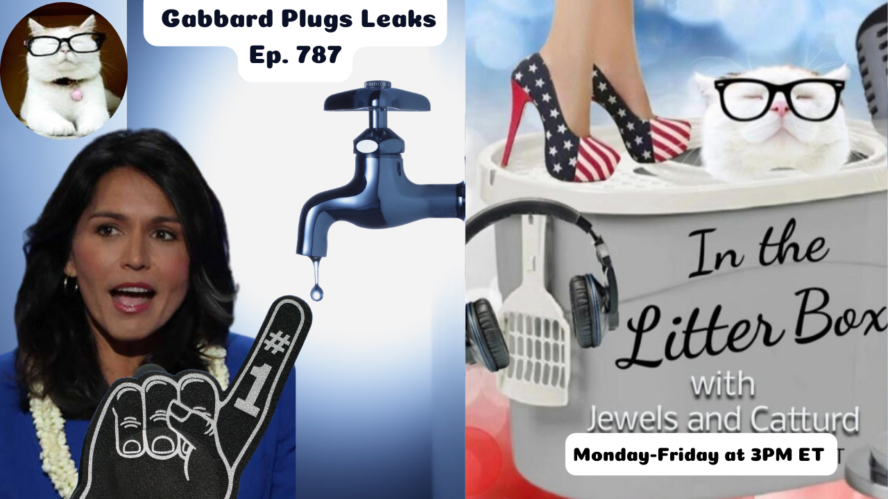 Gabbard Plugs Leaks | In the Litter Box w/ Jewels & Catturd – Ep. 788 – 4/24/2025