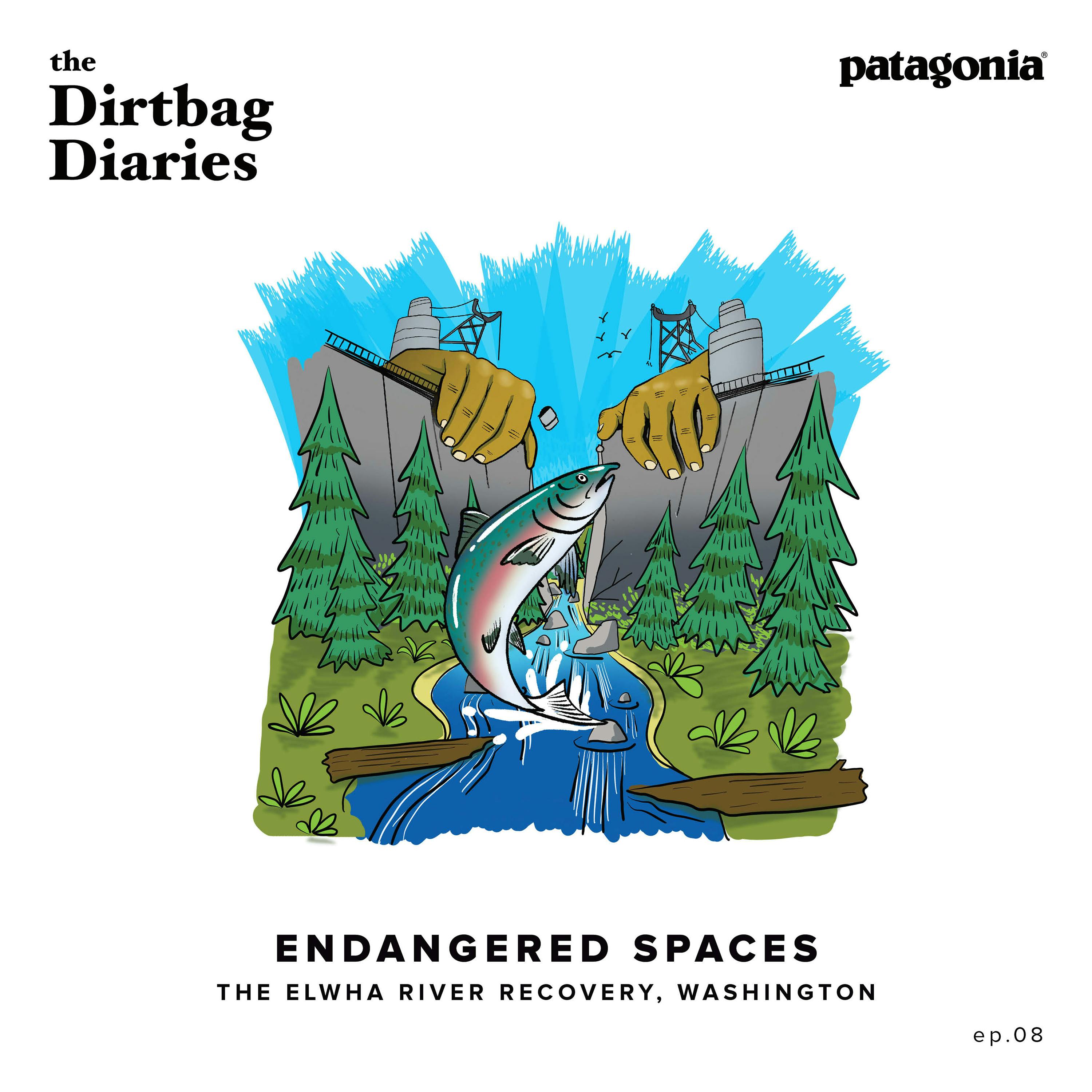 Endangered Spaces--The Elwha River Recovery