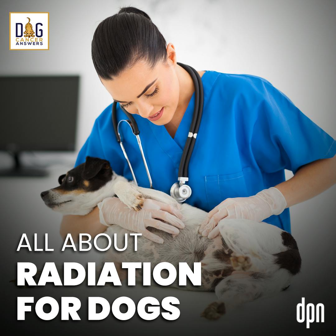 Episode image for All About Radiation for Dogs | Jenny Fisher #178