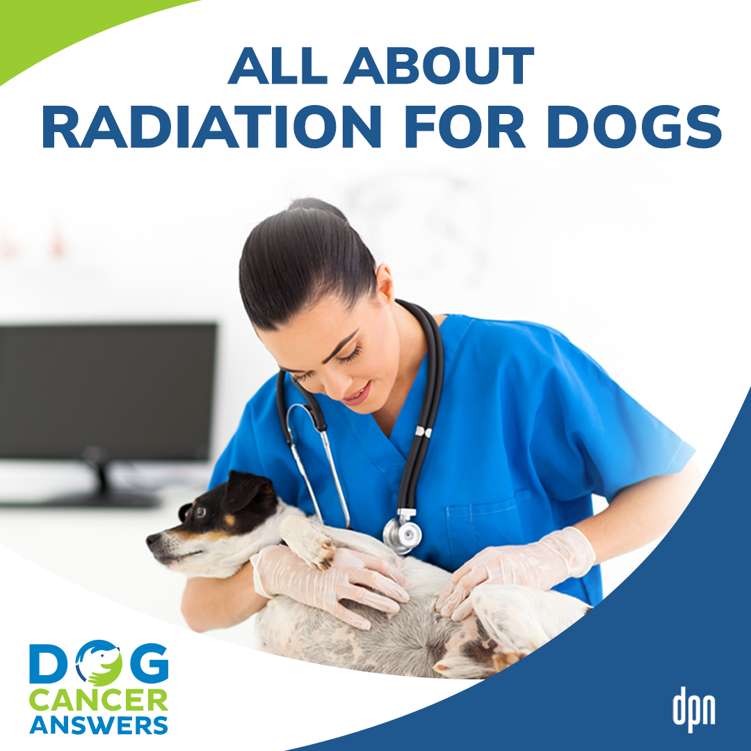 All About Radiation for Dogs | Jenny Fisher #178