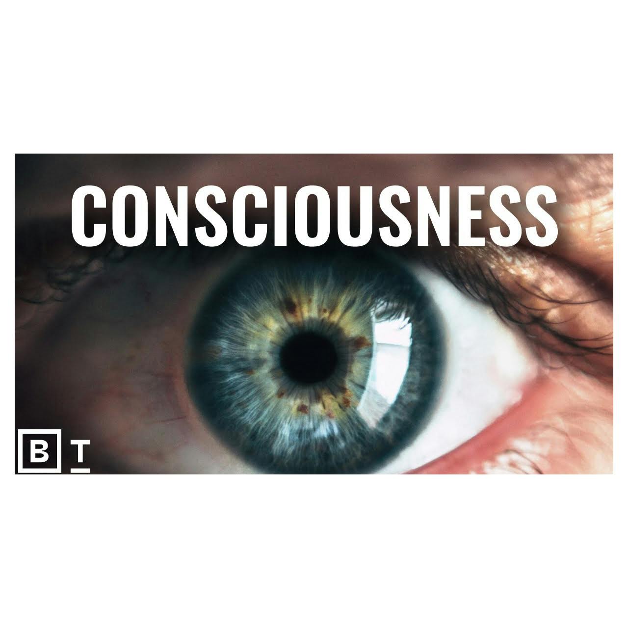Is consciousness an illusion? 5 experts explain