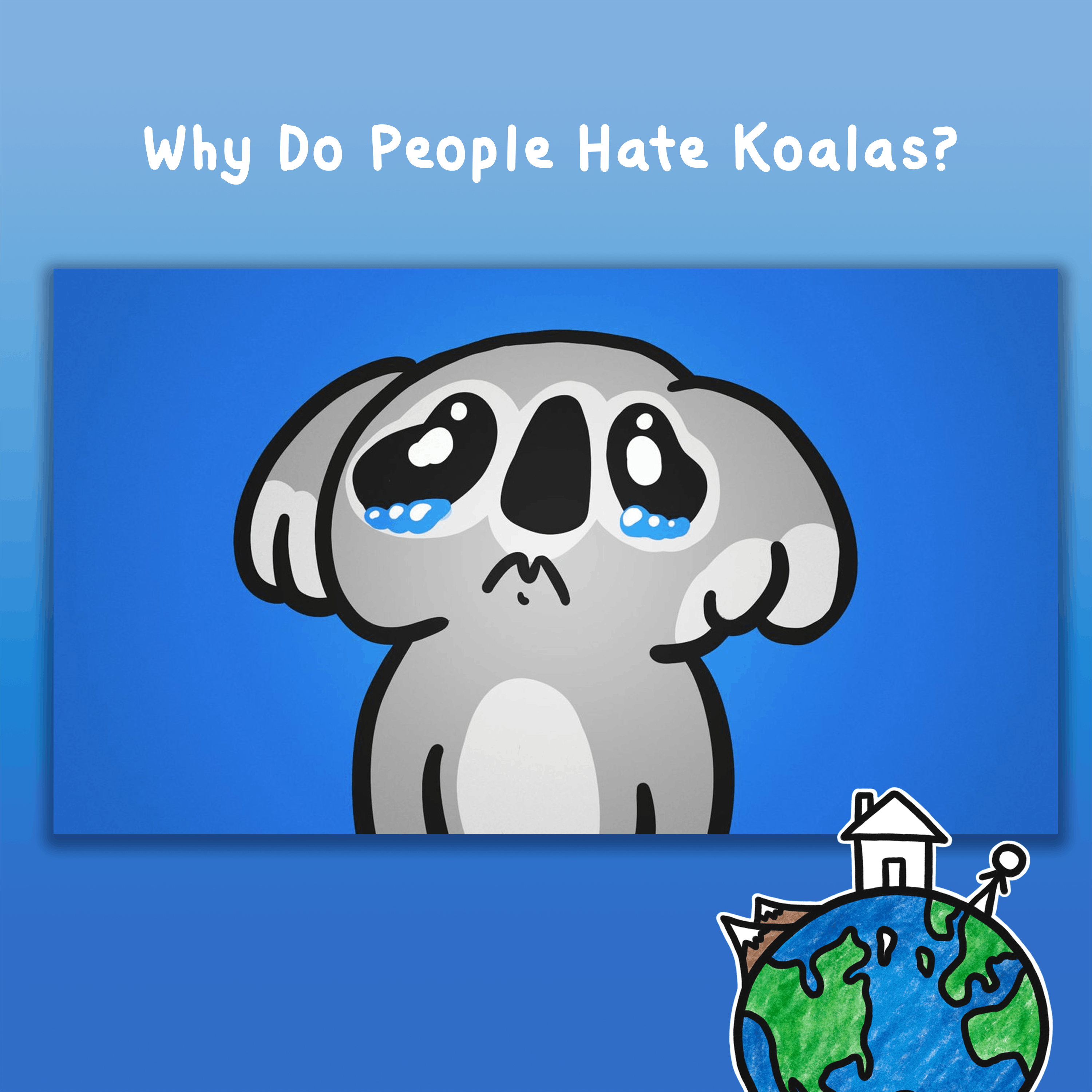 Why Do People Hate Koalas? (ft. @tibees )
