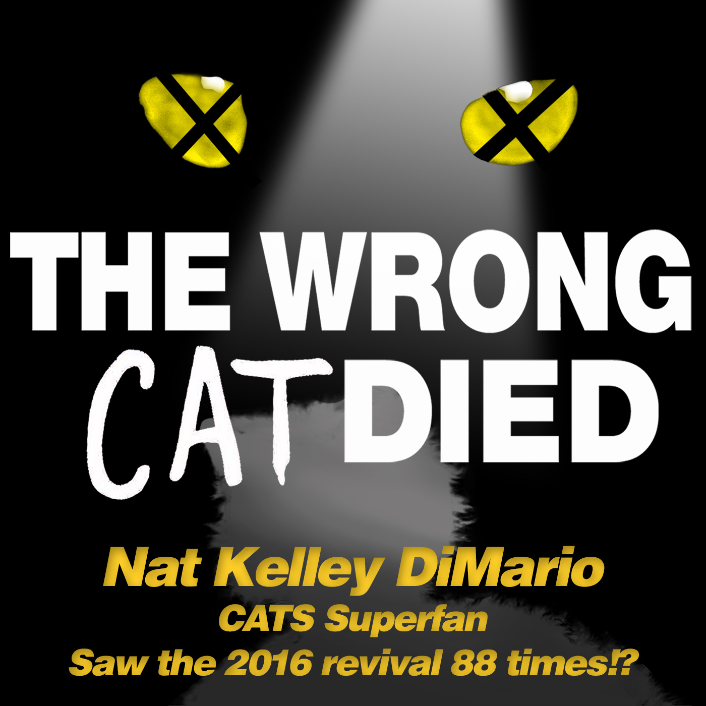 Ep33 - Nat Kelley DiMario, CATS Superfan who saw the 2016 Broadway Revival 88x! episode artwork