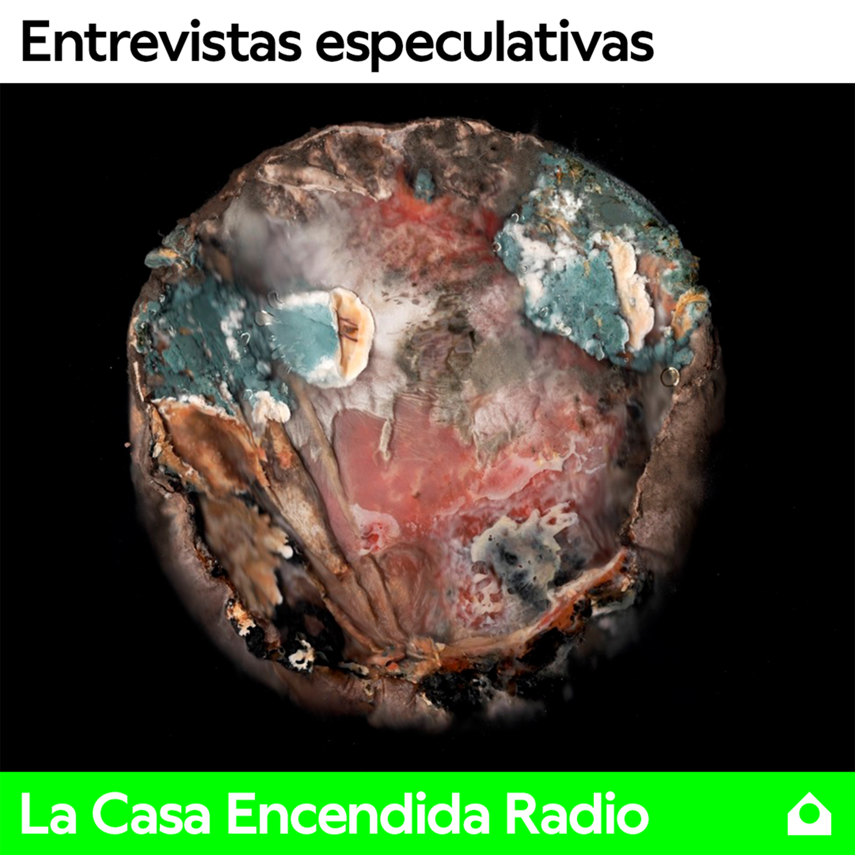 Entrevistas Especulativas