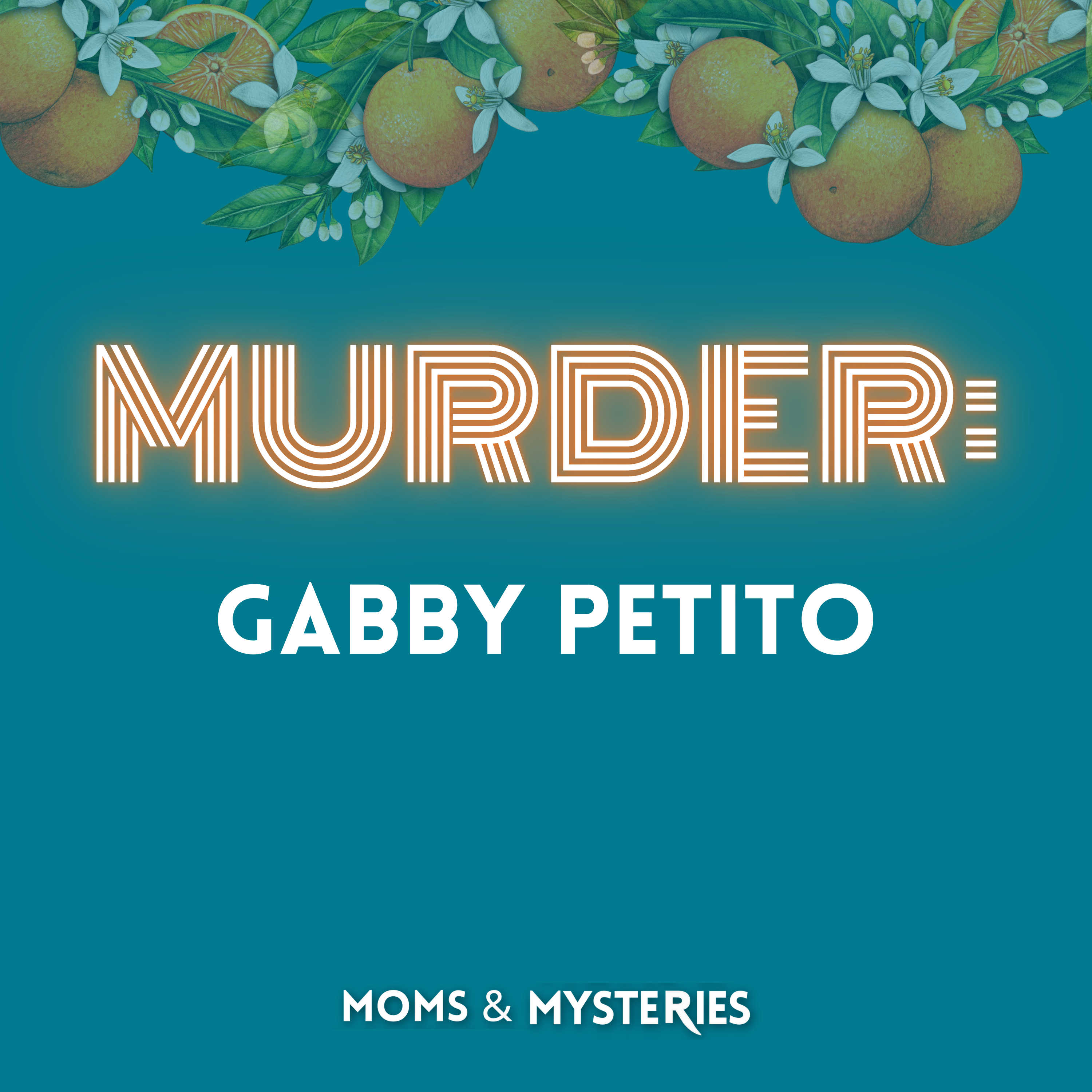 Gabby Petito: The Van Life Tragedy + Interview with Gabby's Mom, Nichole Schmidt