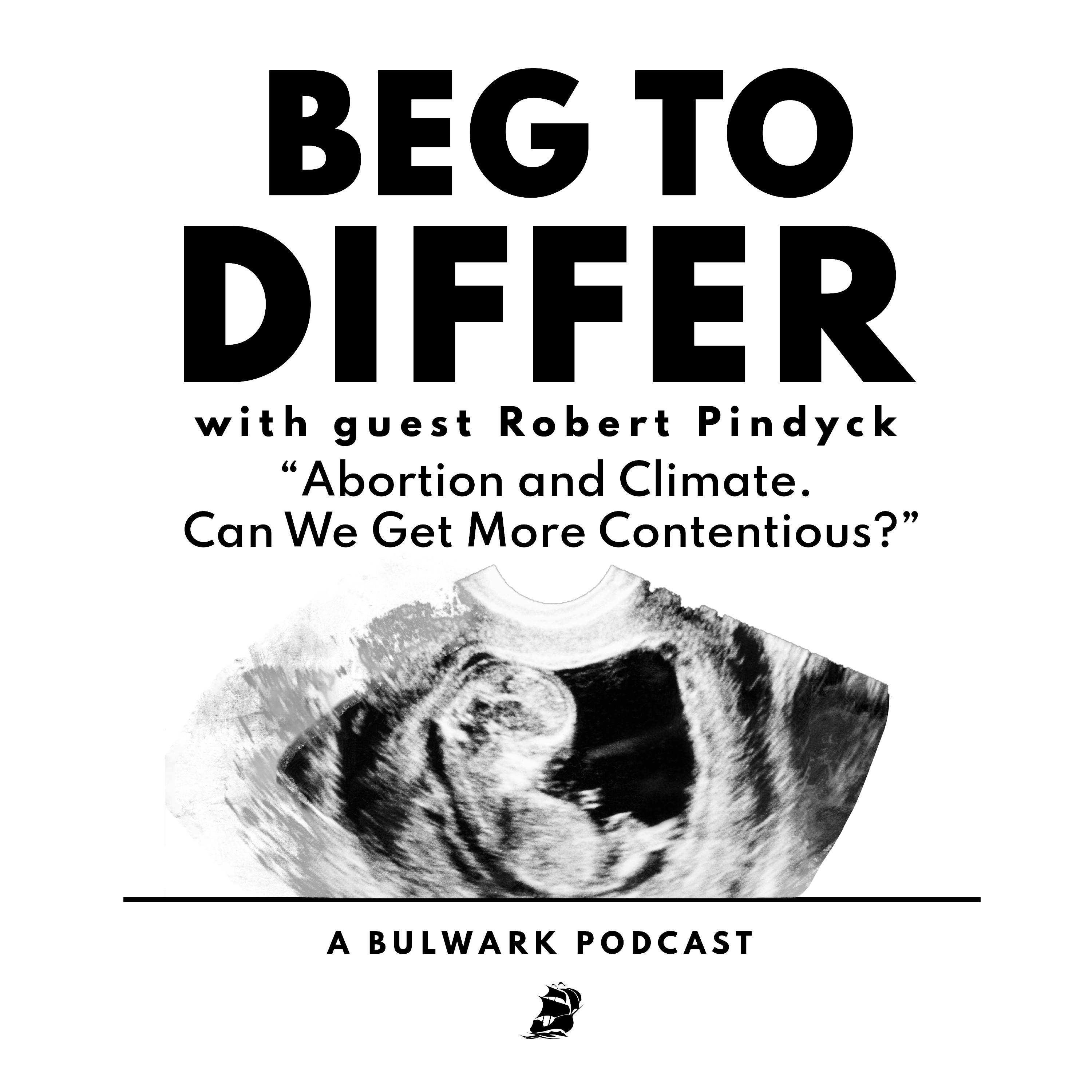 Abortion and Climate. Can We Get More Contentious? (with Robert Pindyck)