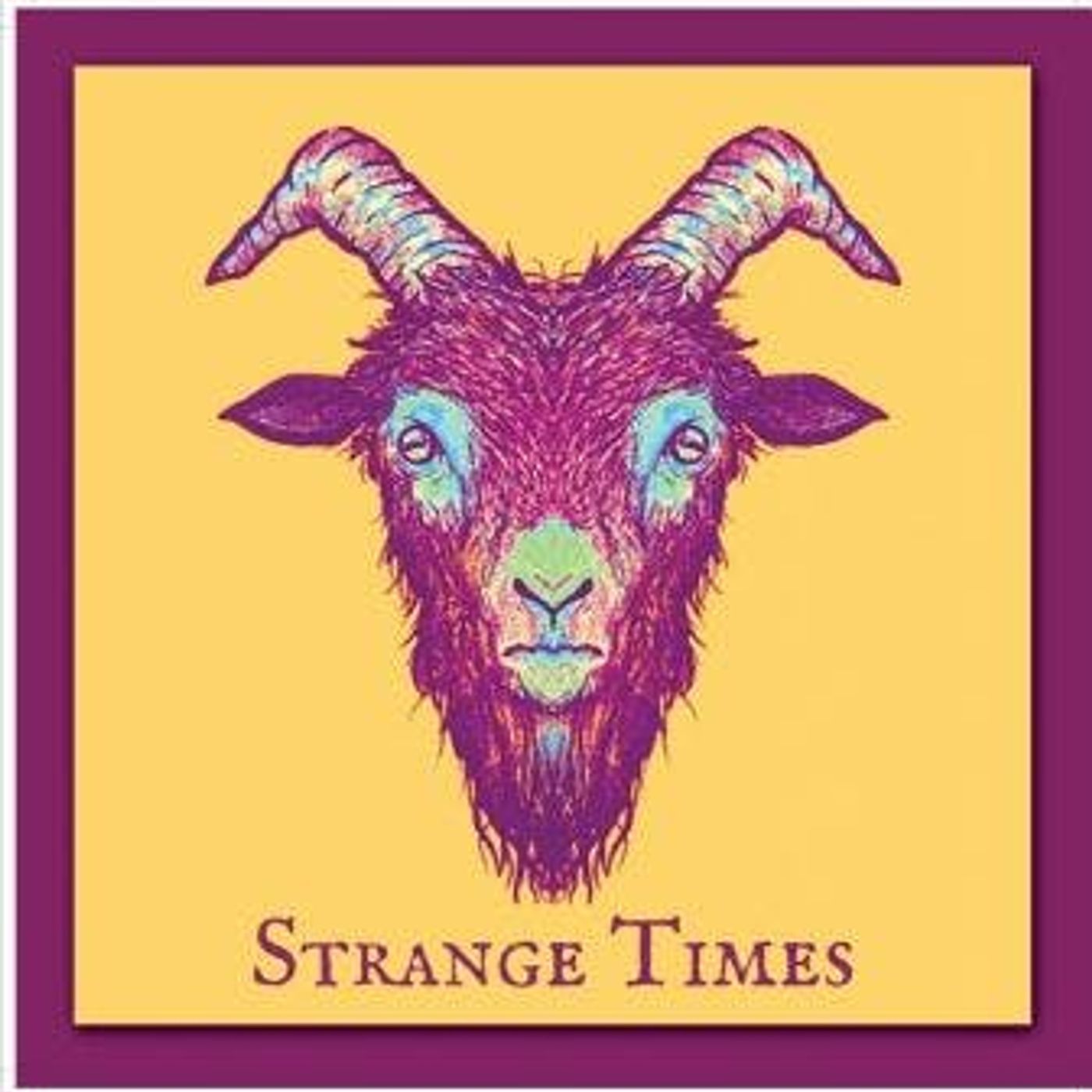 Gravel Yard Bluegrass Band Interview