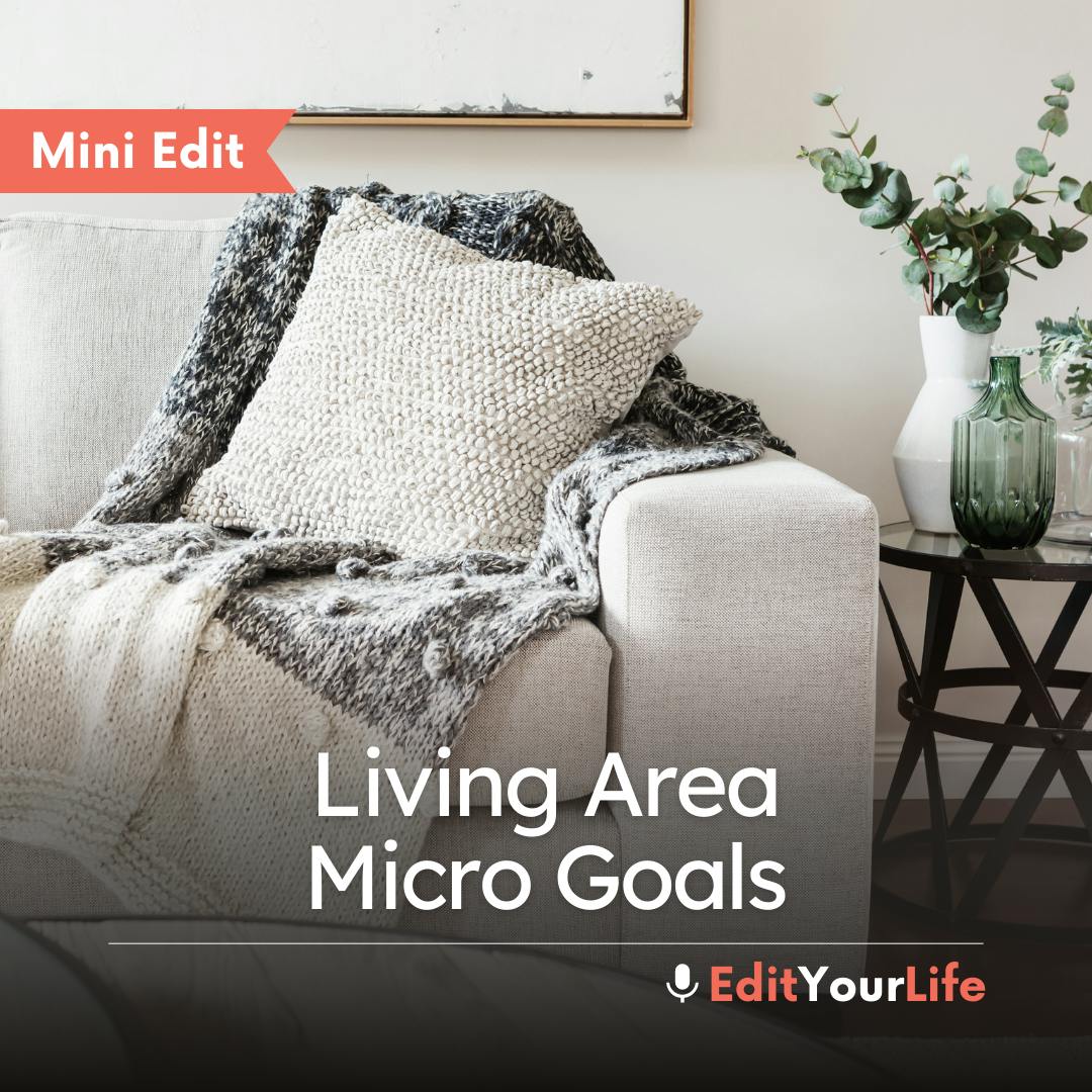 Mini Edit: Living Area Micro Goals