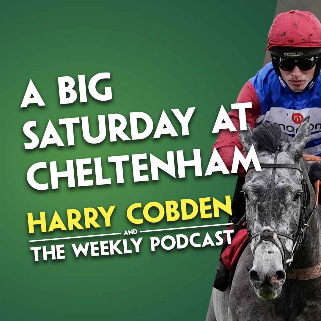 “HE’LL RUN A BIG RACE AT 10/1” | Harry Cobden | Doncaster & Cheltenham | No Drama This End targets?