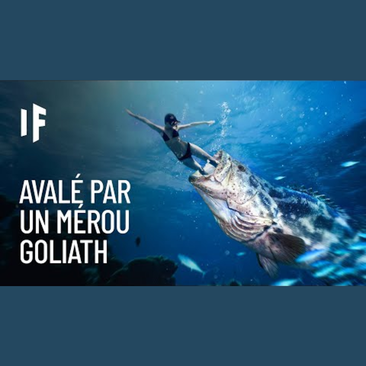 What If Français - Et Si