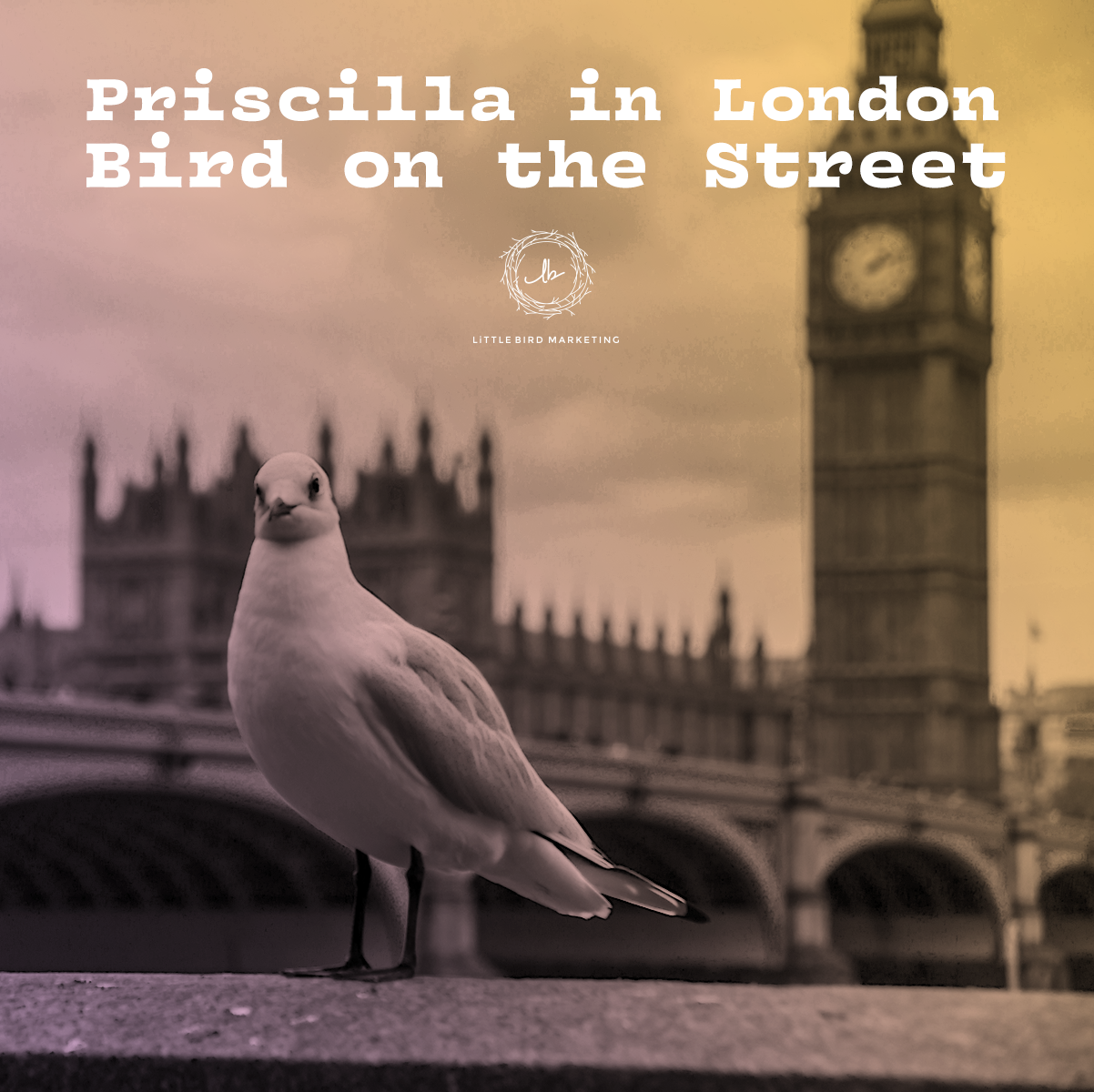 Ponderings from the Perch