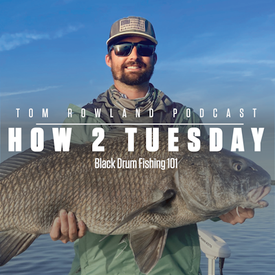 How 2 Tuesday - Black Drum Fishing 101 — Tom Rowland Podcast