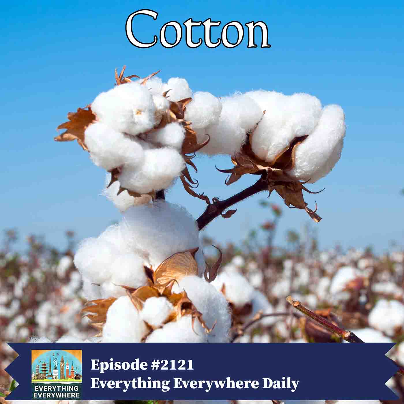 Cotton: How It Helped Build The Modern World