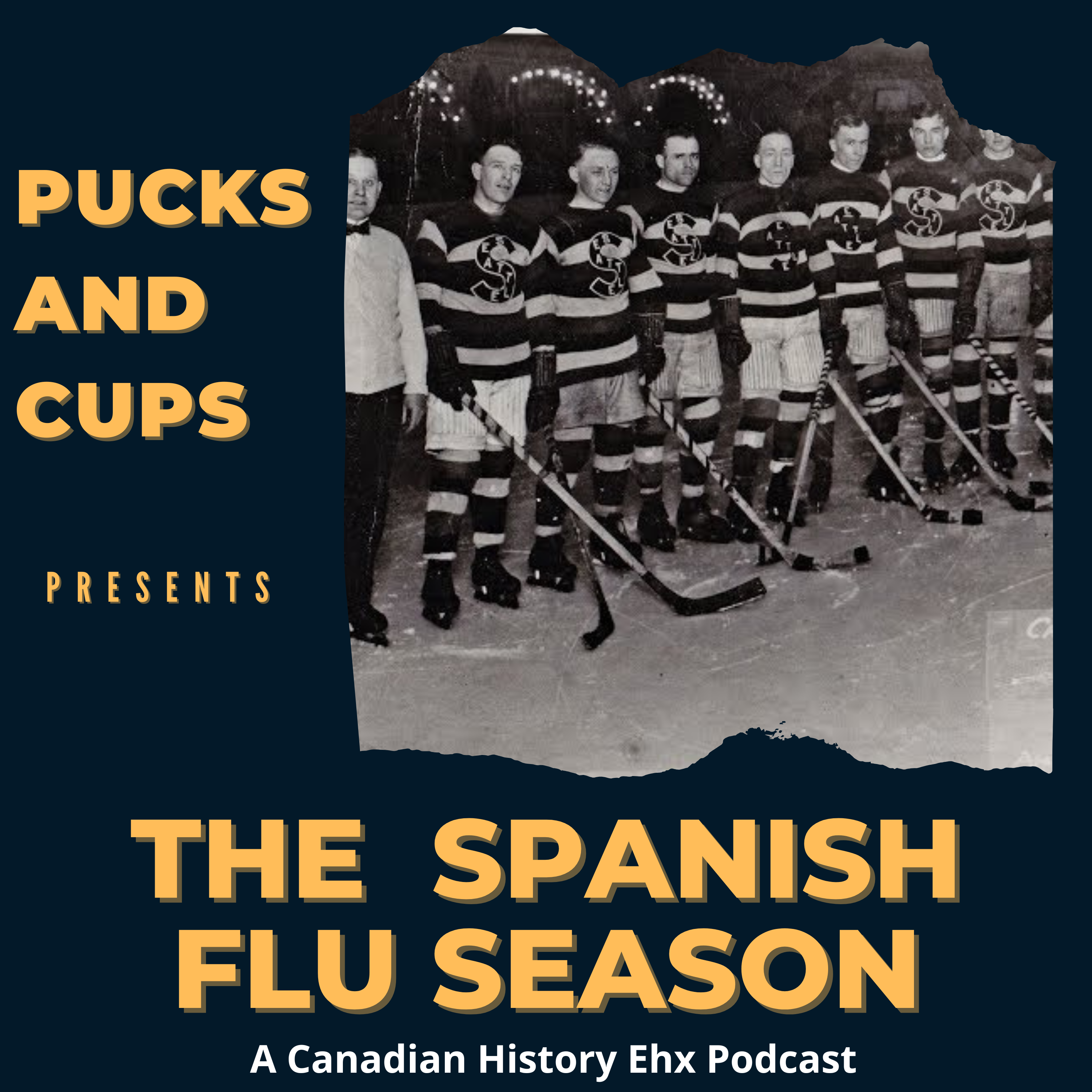 The Lost Season: The Spanish Flu Hits The NHL artwork