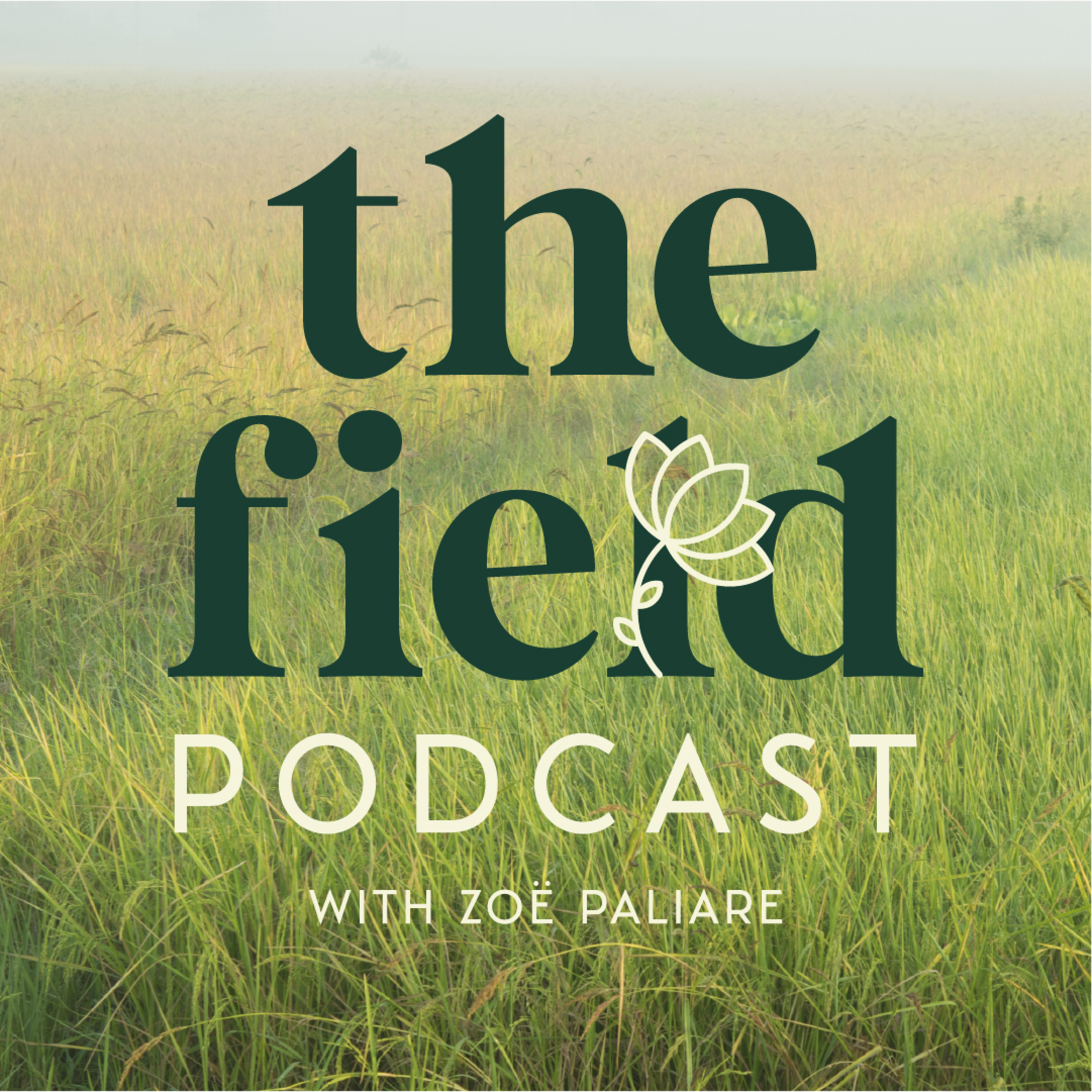 The Field with Zoe Paliare