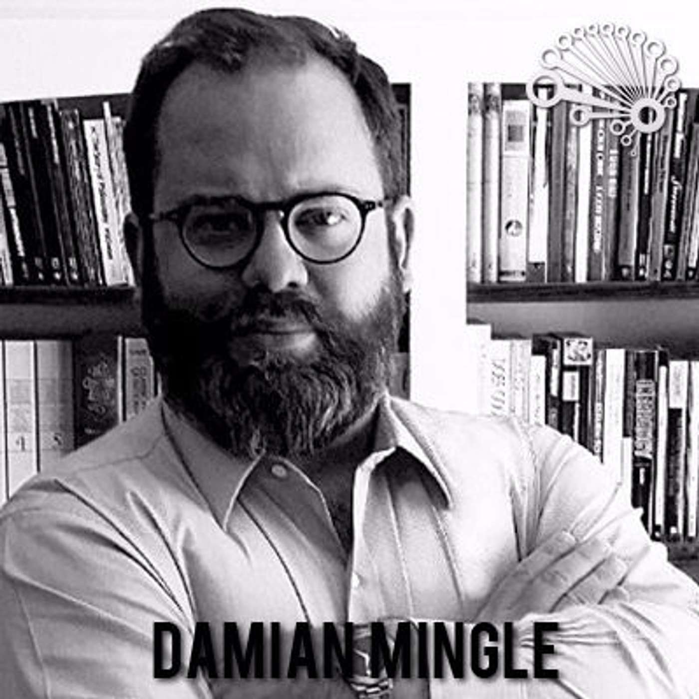 013: 95% Accuracy Models, Winning People Over, and Saving Lives with Damian Mingle episode artwork