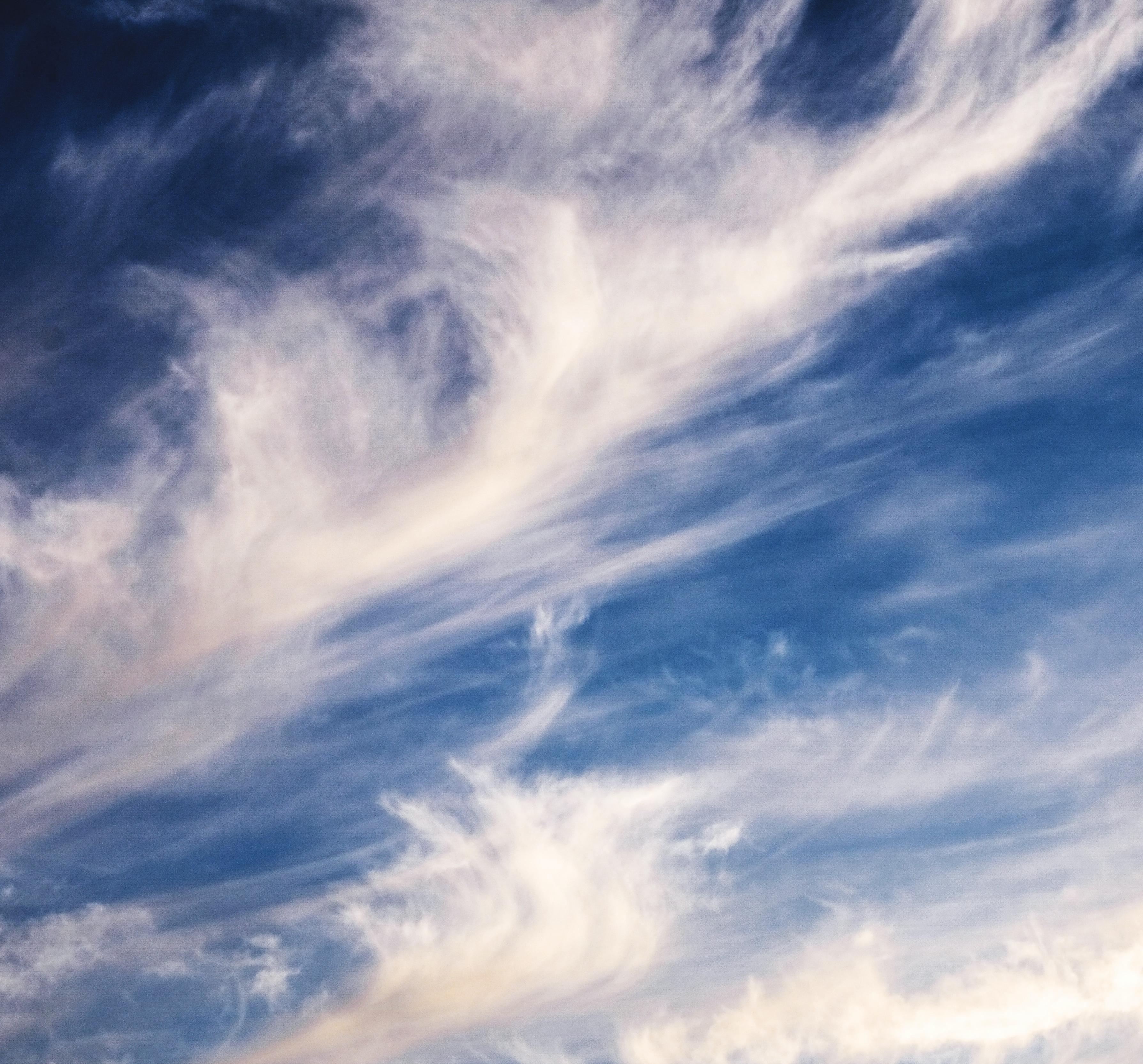 Wind Noise: 8-Hour Tranquil Nature Soundscape for Relaxation, Studying & Sleep episode artwork