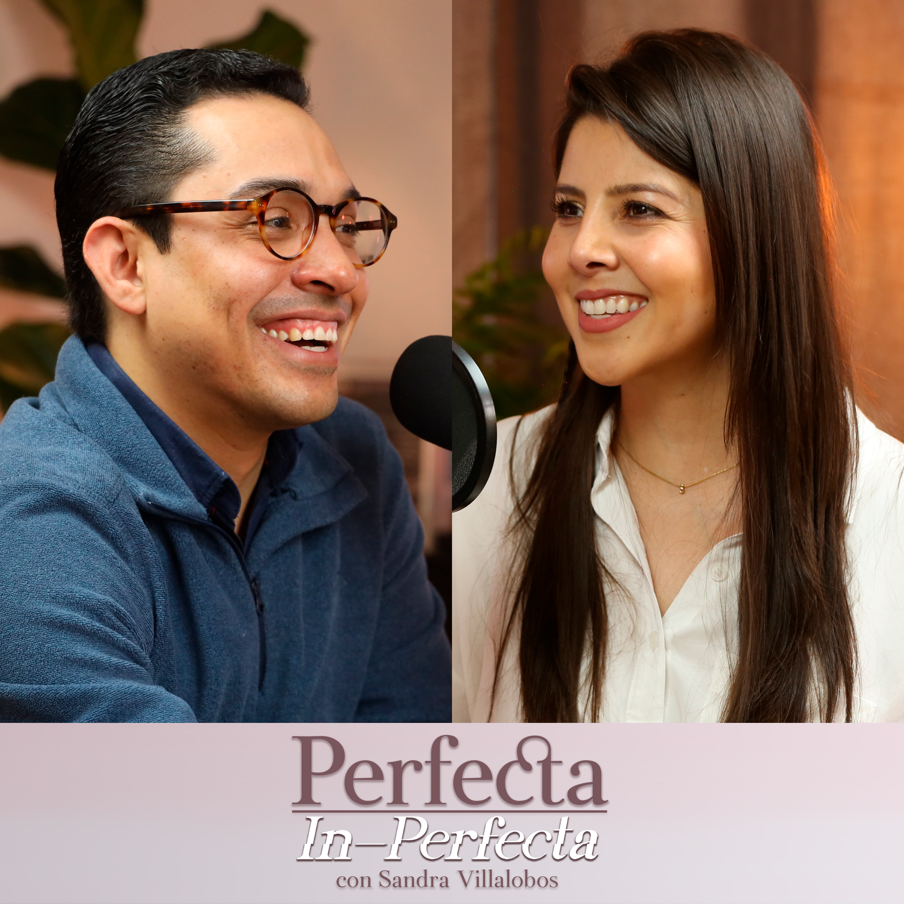 Perfecta In- Perfecta