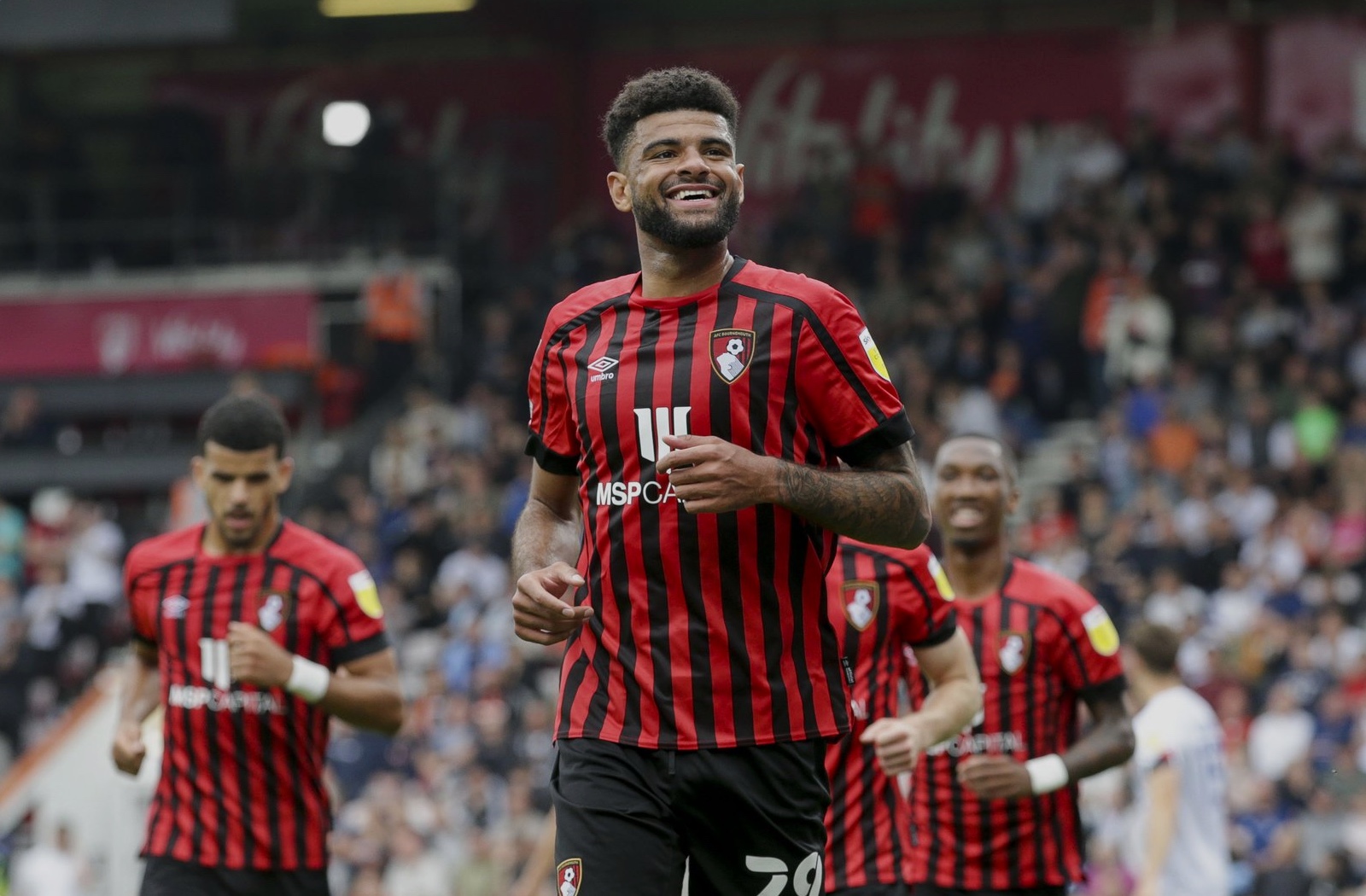 Back Of The Net - The AFC Bournemouth Podcast