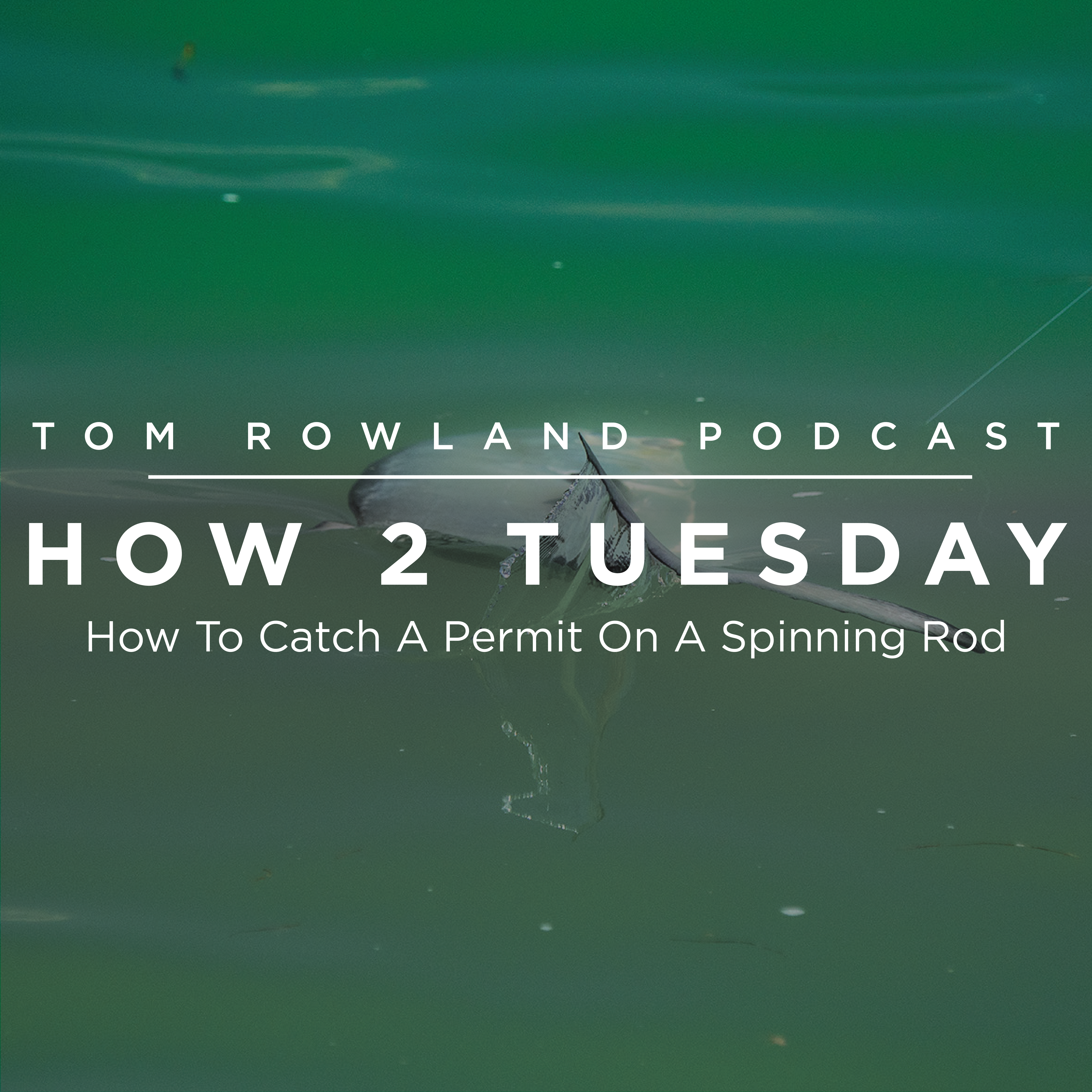 HOW 2 TUESDAY #37 - How To Catch A Permit On A Spinning Rod