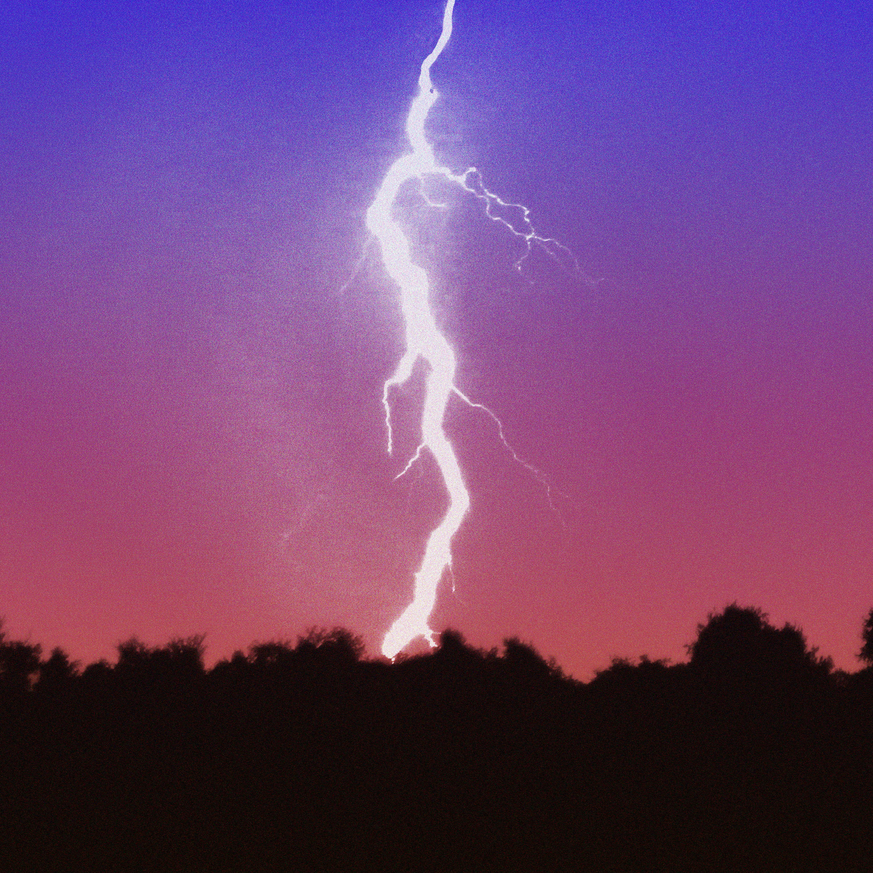 What Next: TBD | Death of the Weather Forecast?