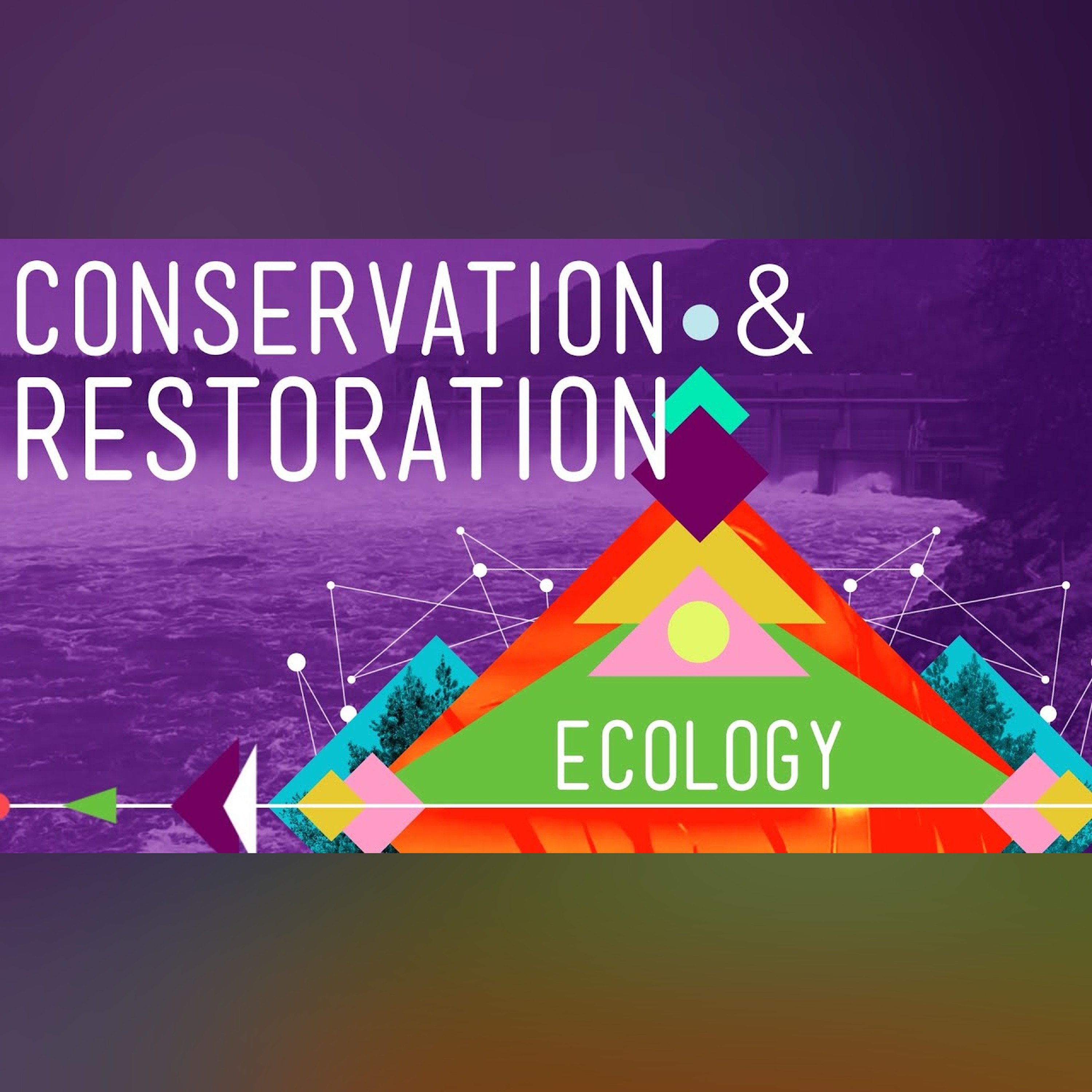 Conservation and Restoration Ecology: Crash Course Ecology #12