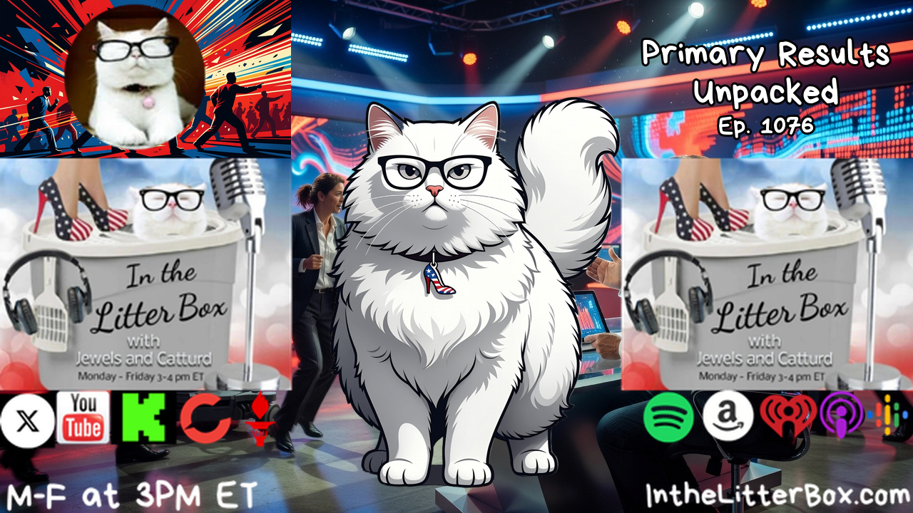 PRIMARY RESULTS UNPACKED | In the Litter Box w/ Jewels & Catturd – Ep. 1076 – 8/12/2026