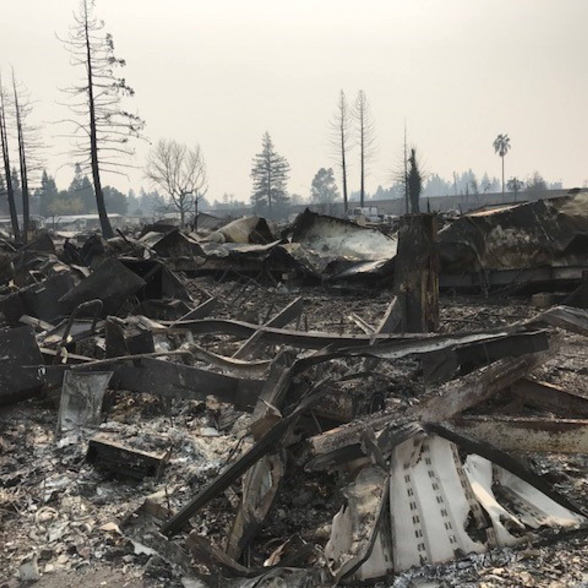 Update on wildfires from Santa Rosa episode artwork