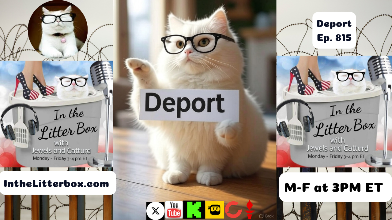 Deport! | In the Litter Box w/ Jewels & Catturd – Ep. 815 – 6/5/2025