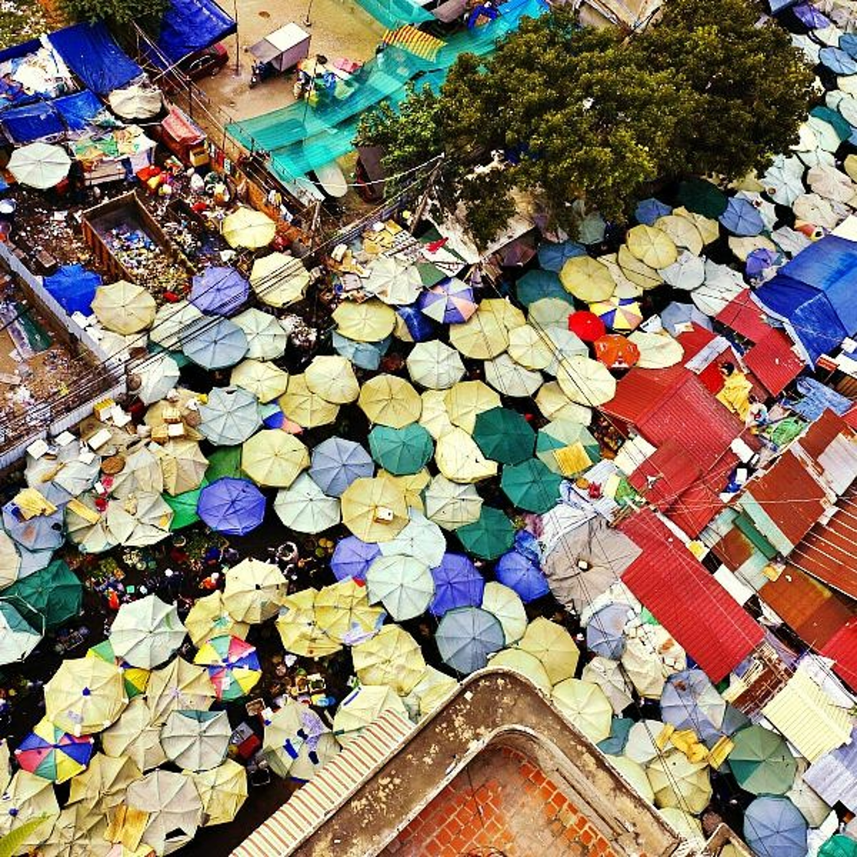 Cambodia: 2018 Political Update - Dr Lee Morgenbesser episode artwork