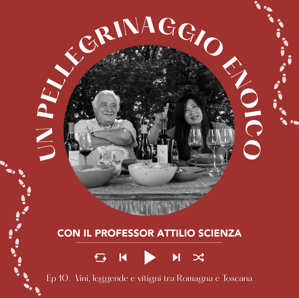 Ep. 2654 Ep. 10: Vini, leggende e vitigni tra Romagna e Toscana | Pellegrinaggio Enoico con Attilio Scienza