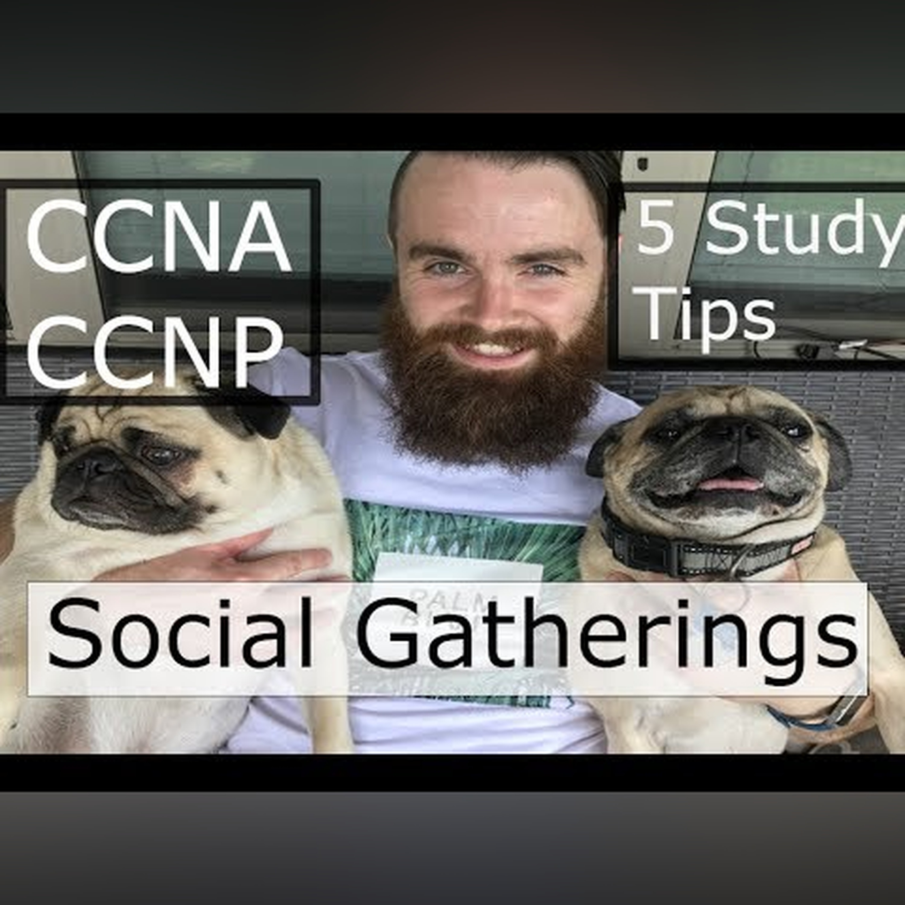 5 Tips for Studying at Social Gatherings - CCNA CCNP Study