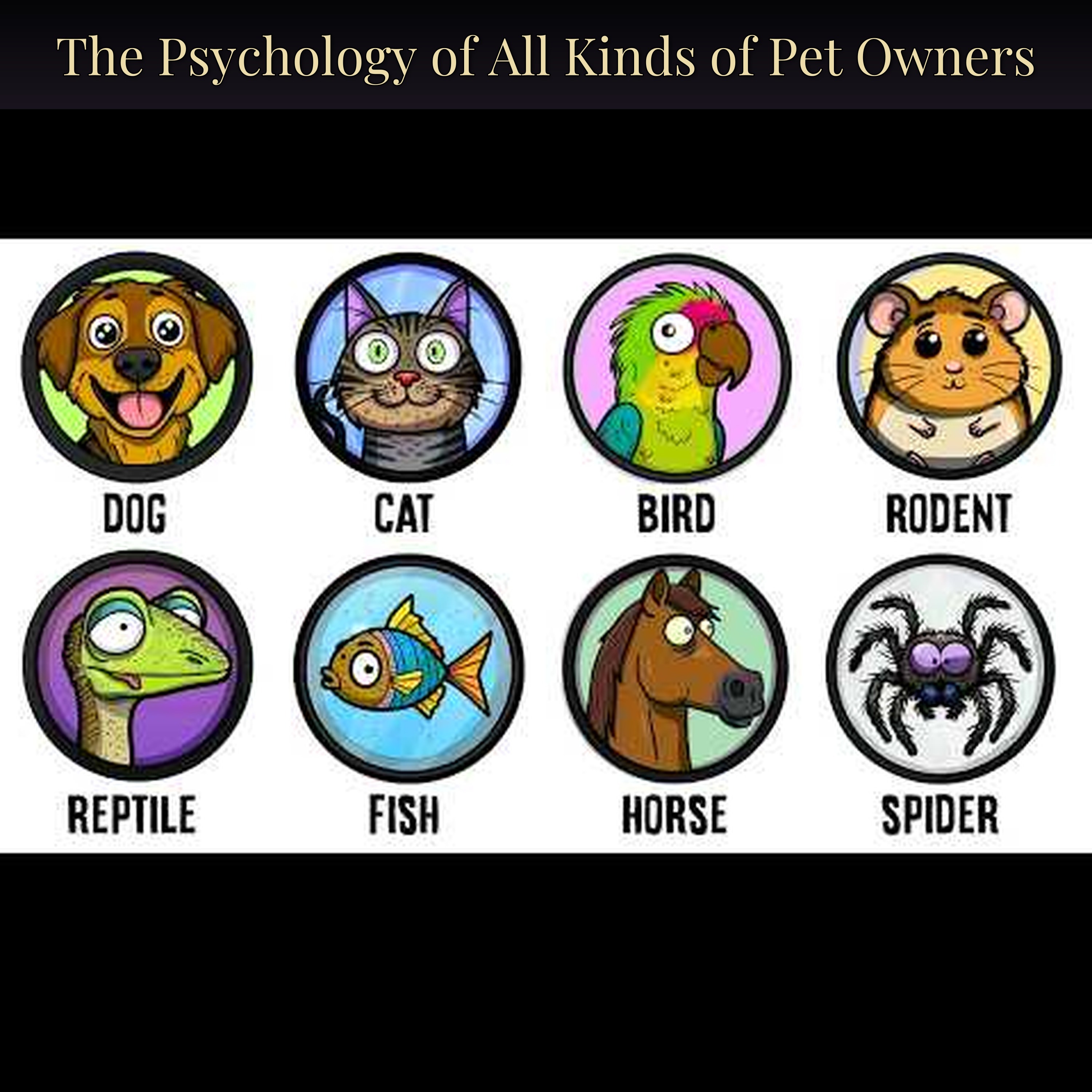 The Psychology of All Kinds of Pet Owners