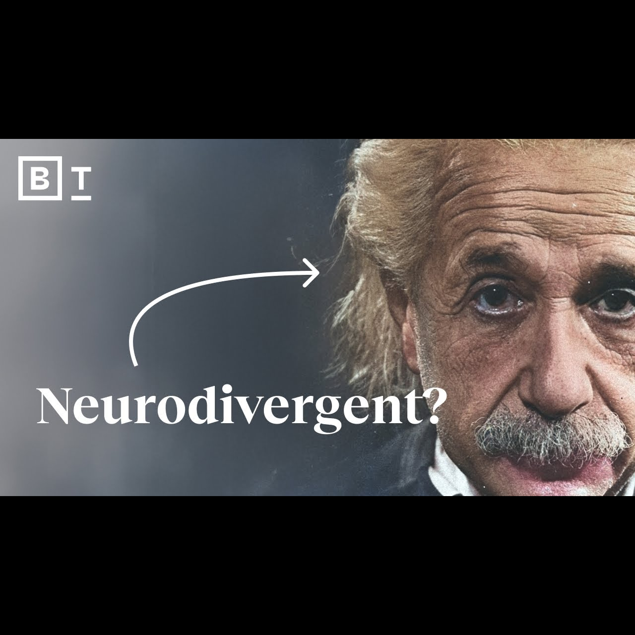 Would Einstein Be in an Autism Program Today? Temple Grandin's Provocative Take | BIGTHINK+