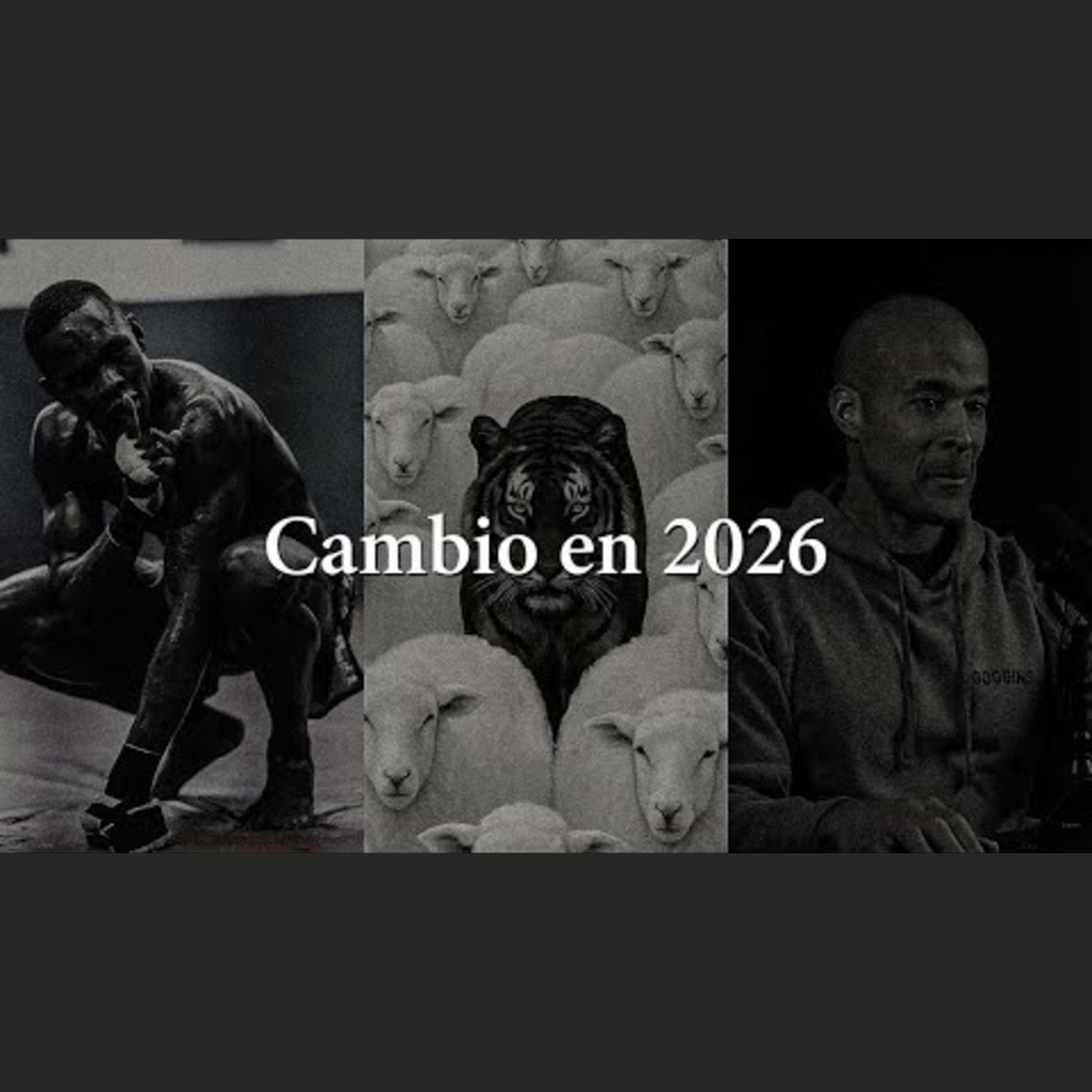 Motivación Absoluta