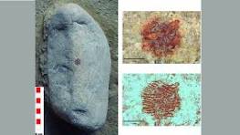 ¿La huella dactilar más antigua del mundo?