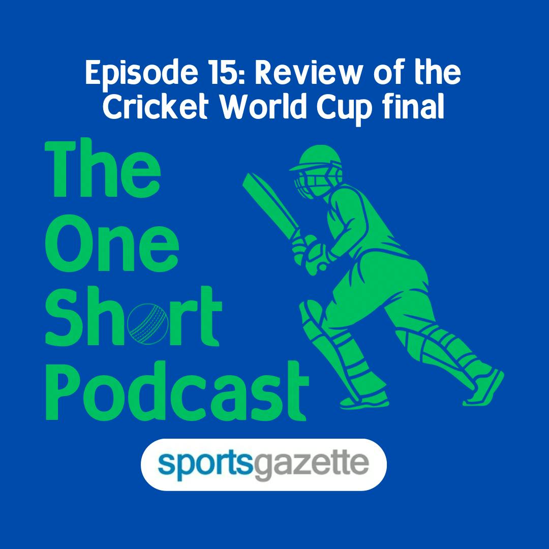 15. Review of the Cricket World Cup final
