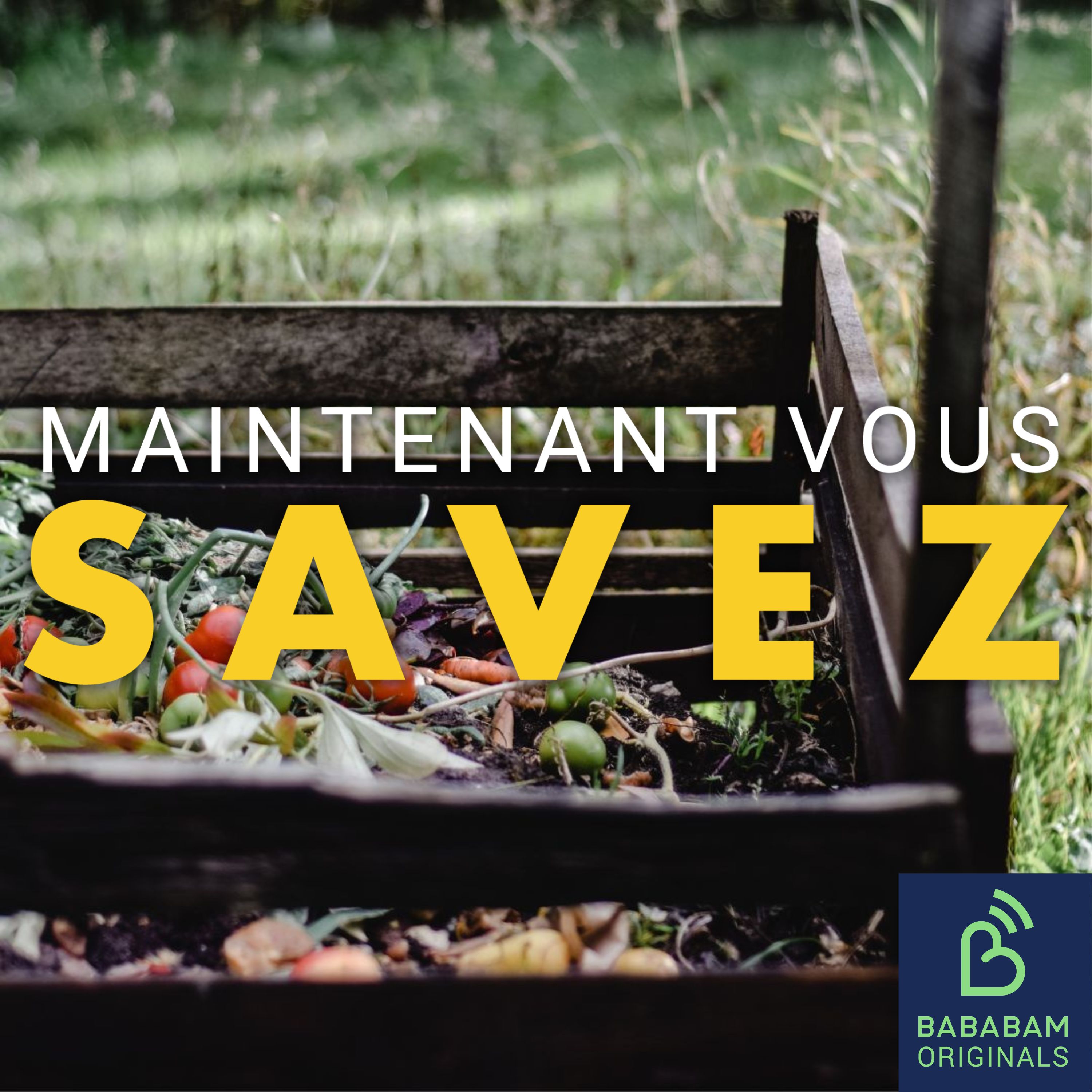 Compostage obligatoire : comment bien s'équiper ?