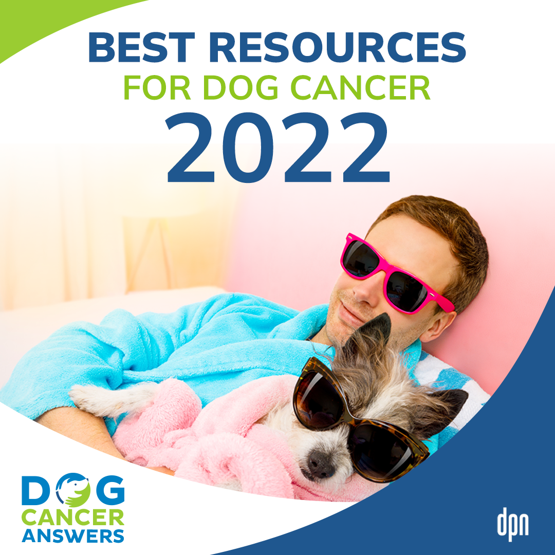 Best Resources for Dog Cancer 2022 | Molly Jacobson and Kate Basedow #147