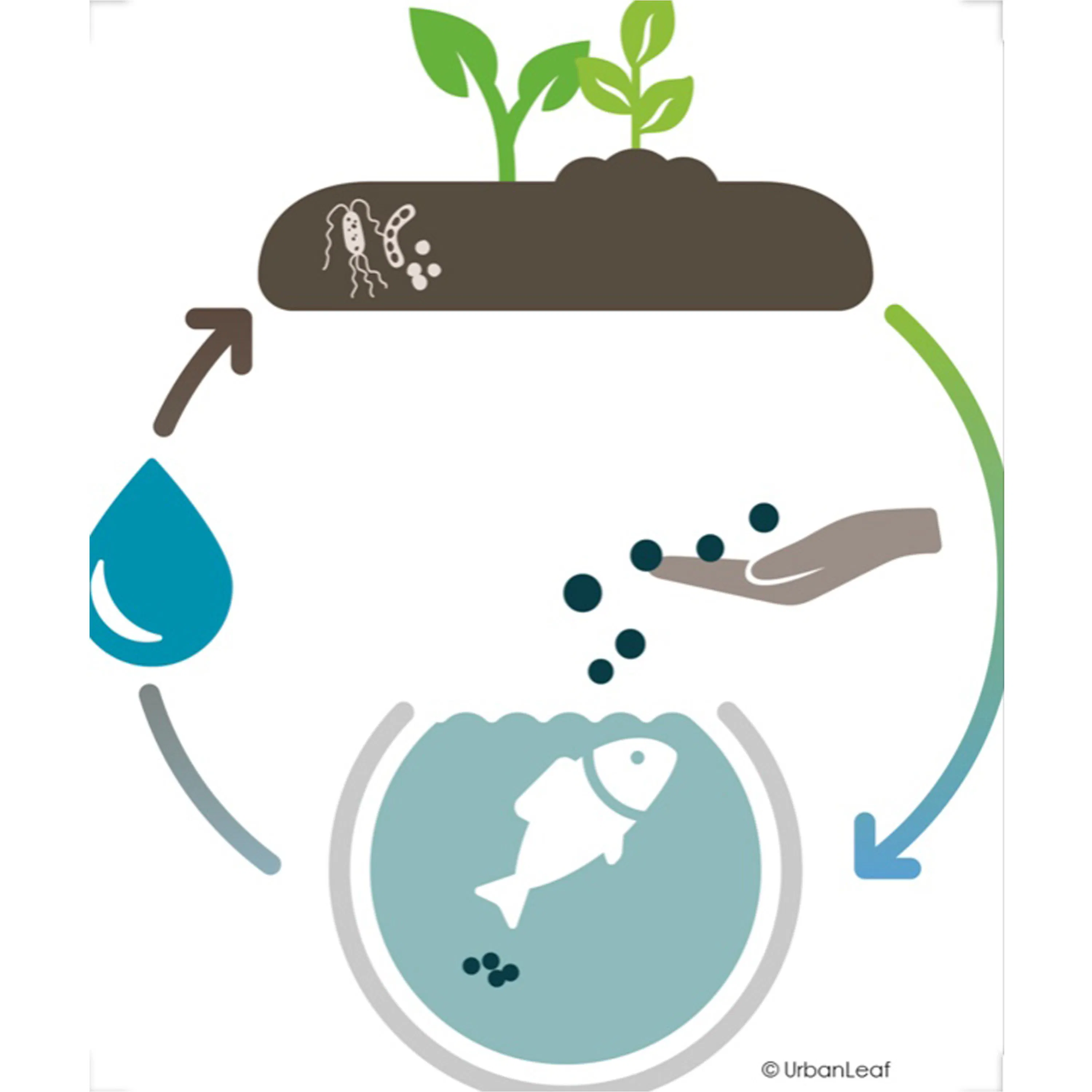 Qu'est-ce que l’Aquaponie ?