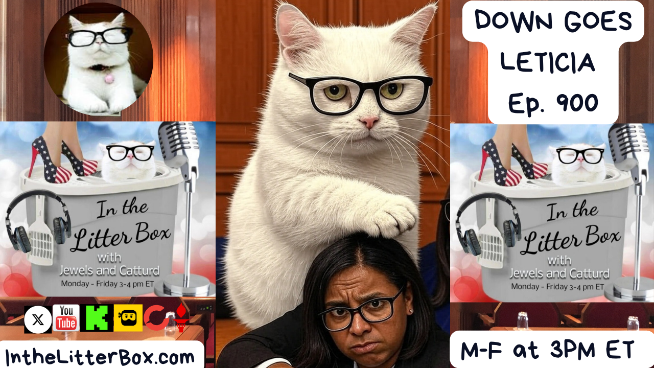 DOWN GOES LETICIA | In the Litter Box w/ Jewels & Catturd – Ep. 900 – 10/10/2025