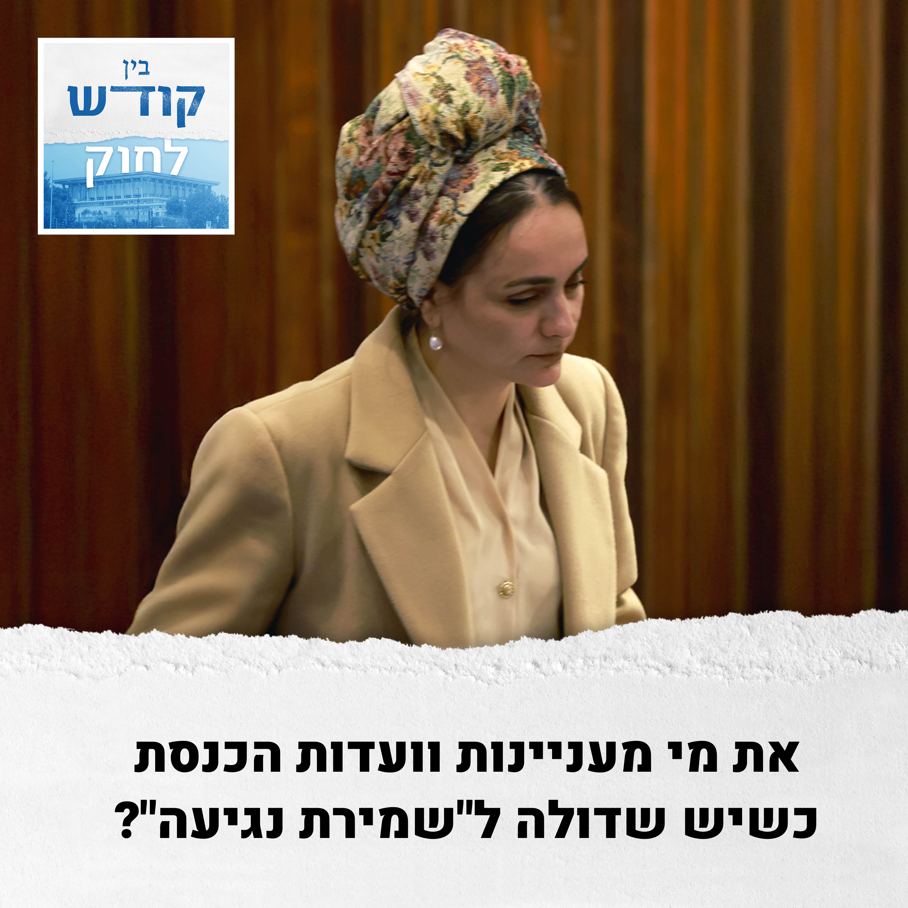 את מי מעניינות ועדות הכנסת כשיש שדולה ל"שמירת נגיעה"? episode artwork