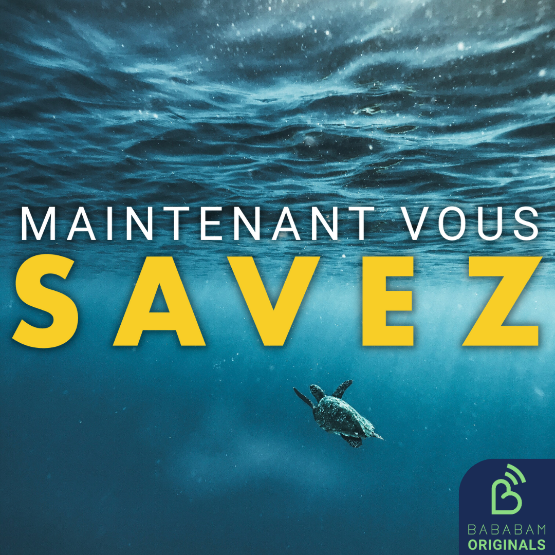 Comment le Traité sur la haute mer protègera-t-il les océans ?