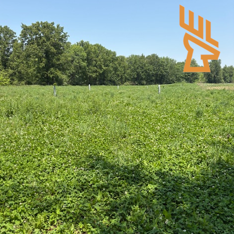 Whitetail Landscapes - Turkey Brood Habitat, Spatial Movement, Land Management