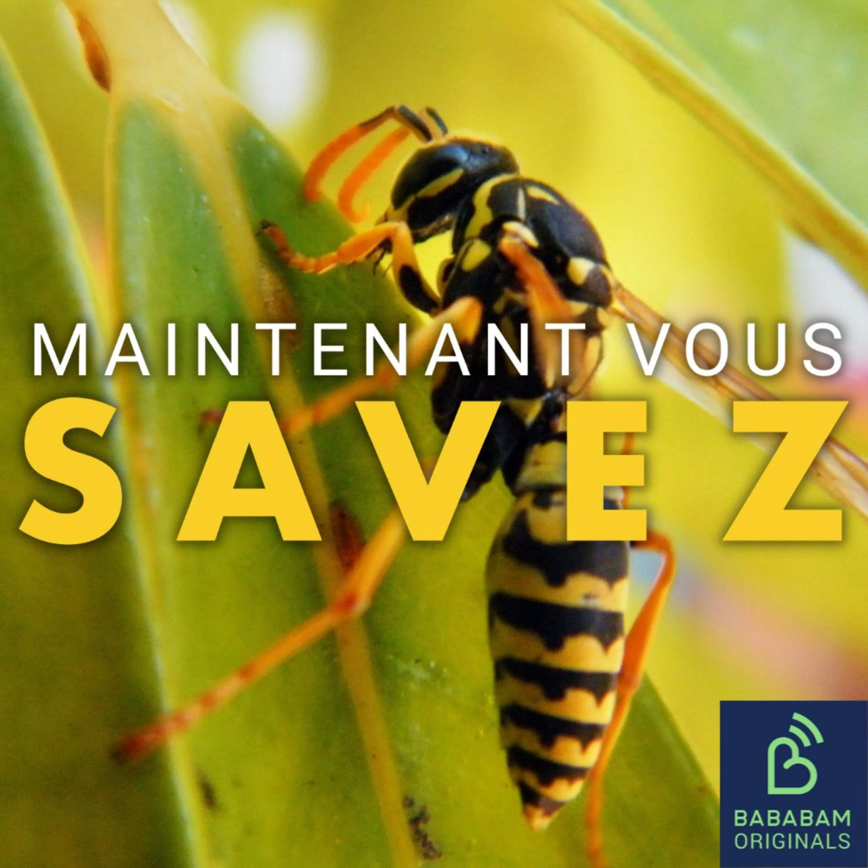 Comment éloigner les guêpes ?